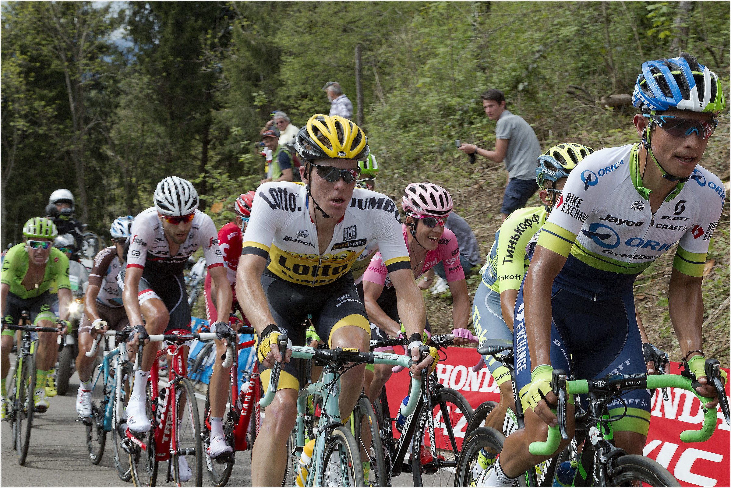 the pink jersey is hiding