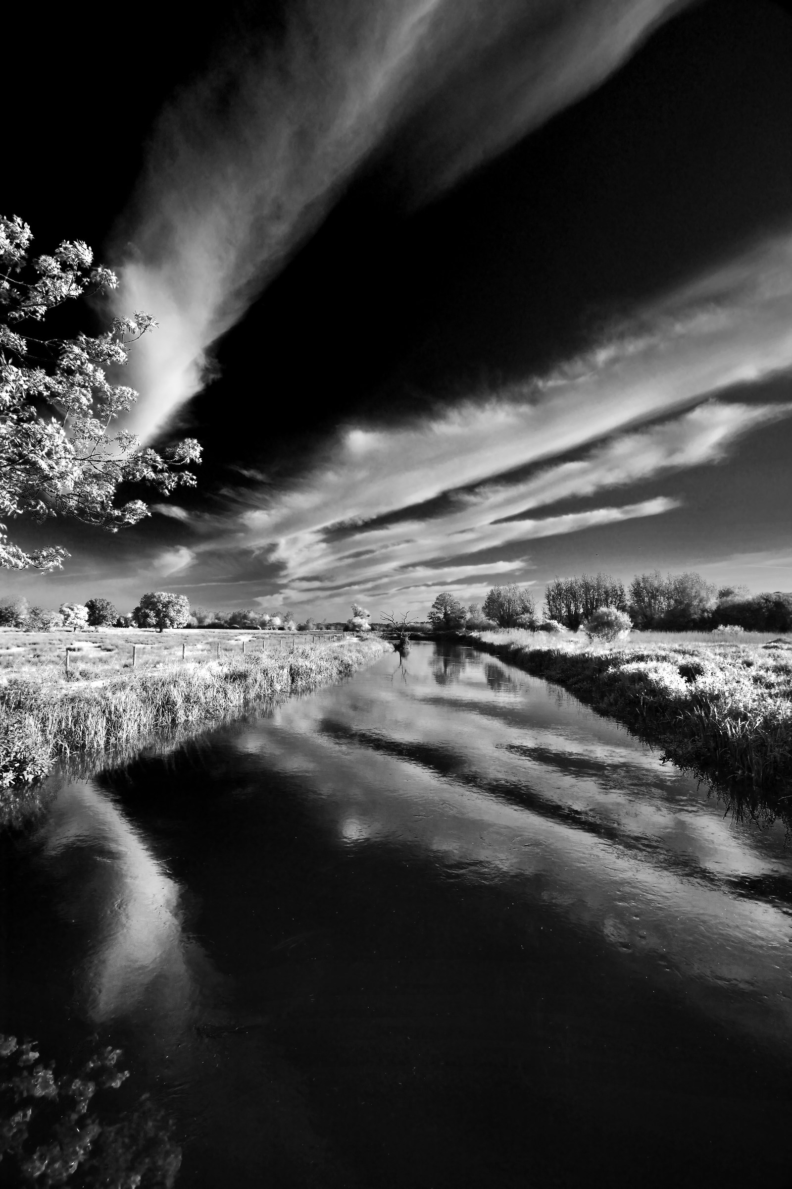 Cirrus Patterns, Reflected.