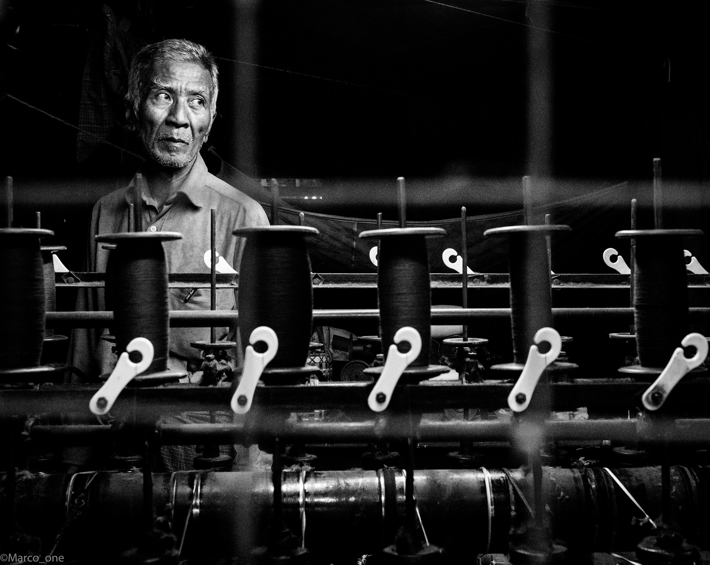 The weaver. Myanmar.