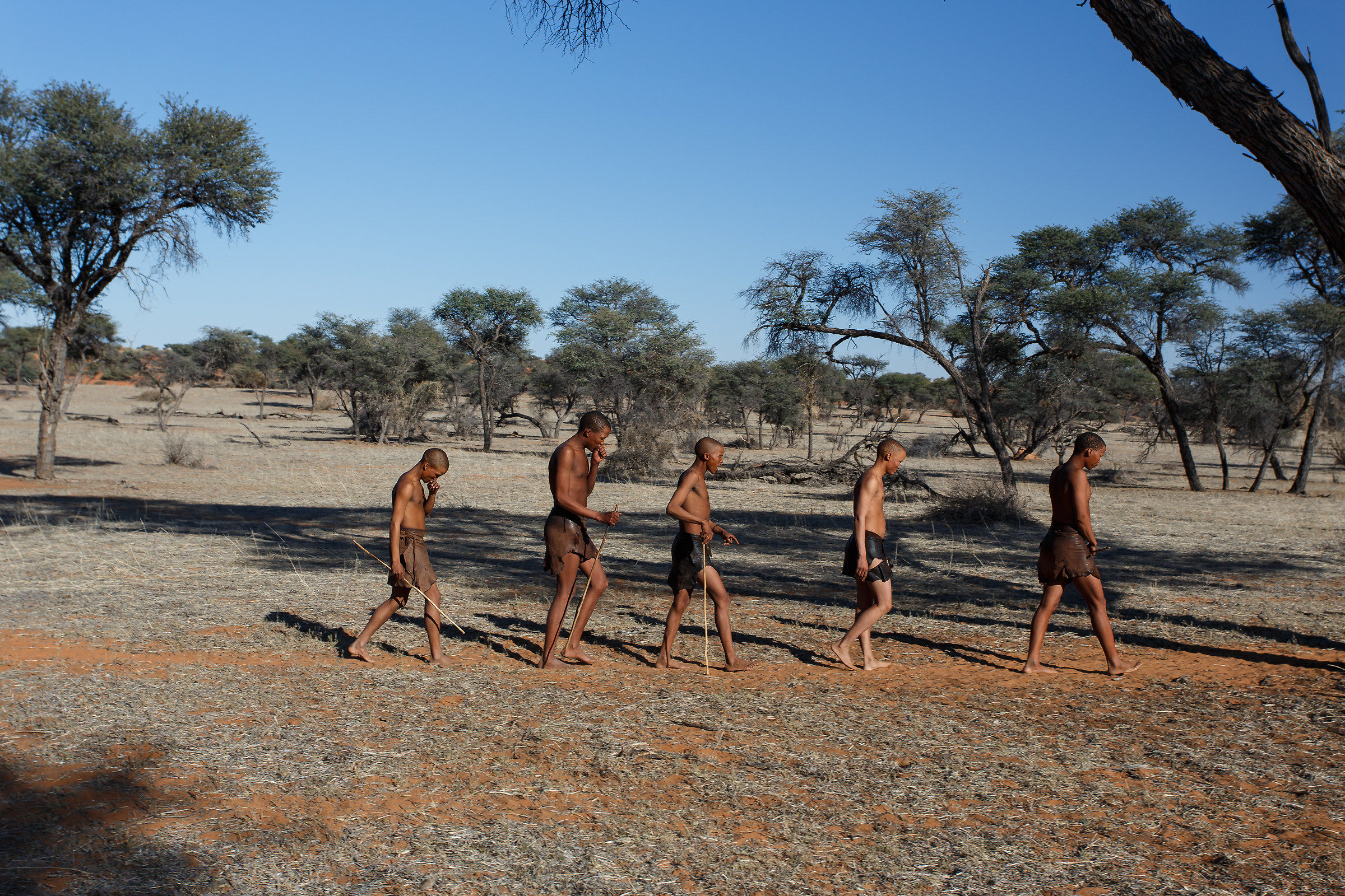 Bushmen in the Kalahari