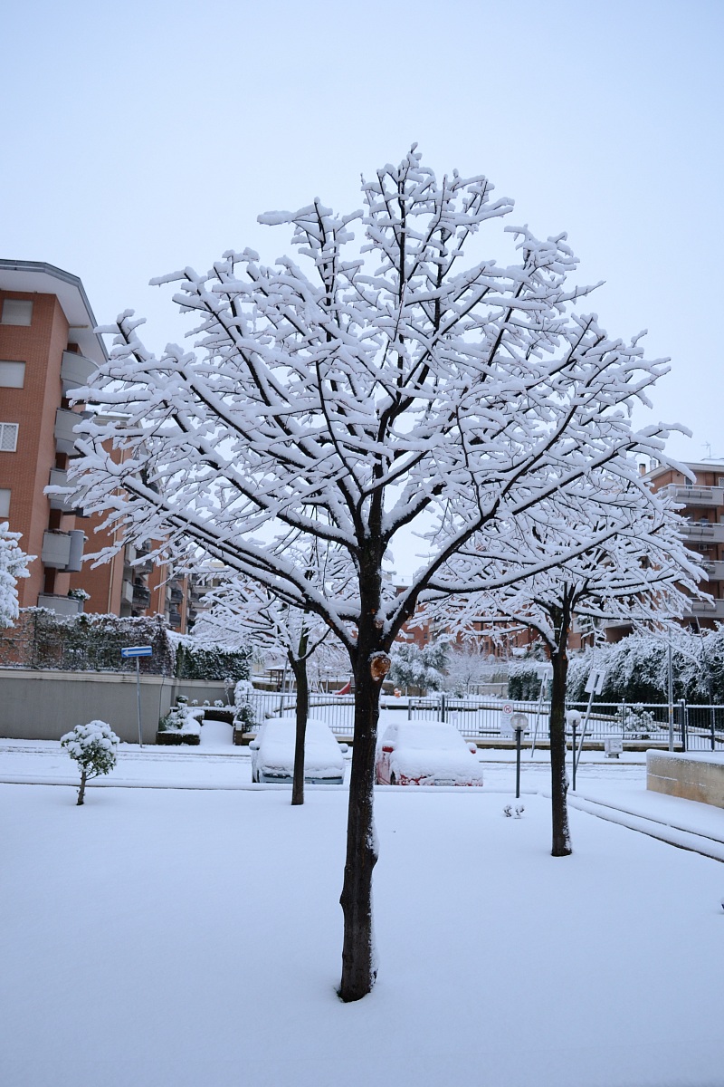 Neve capitolina