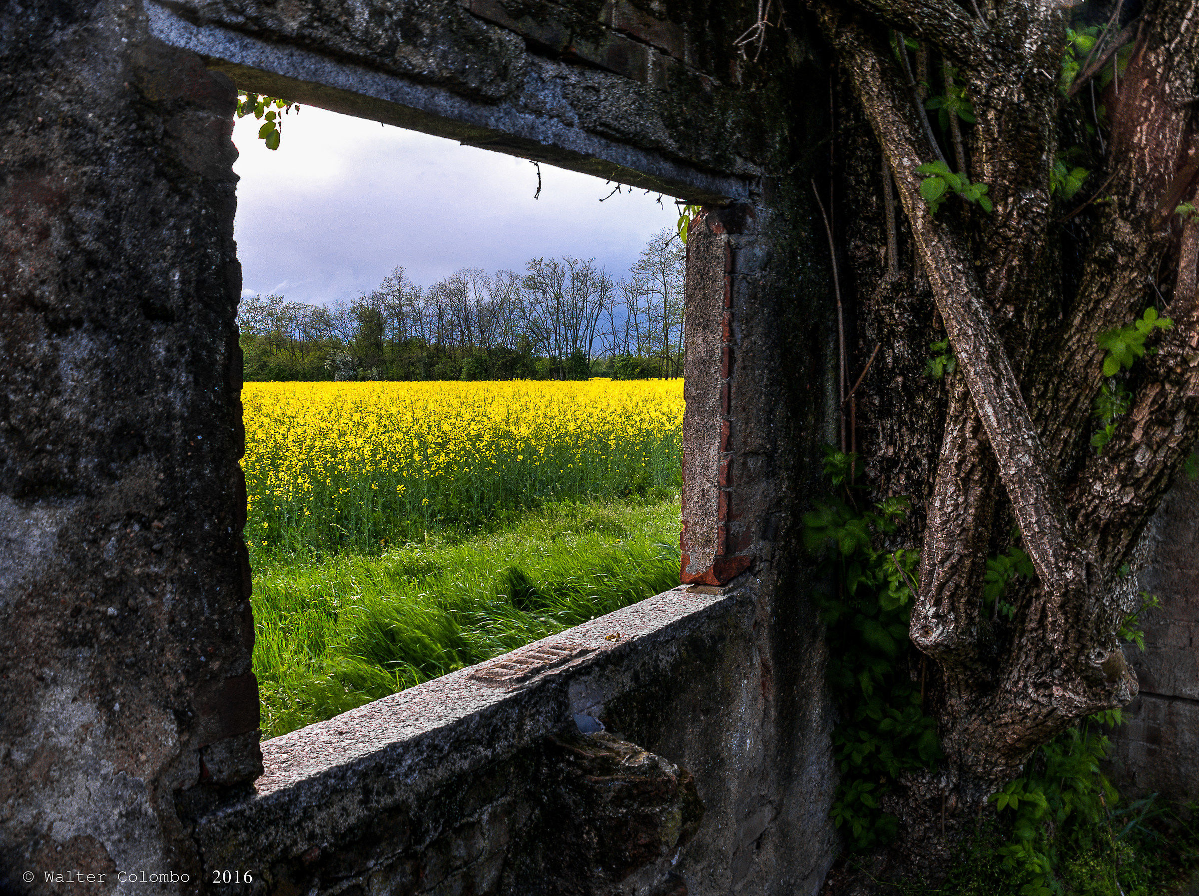 Countryside Window / Inside & Outside