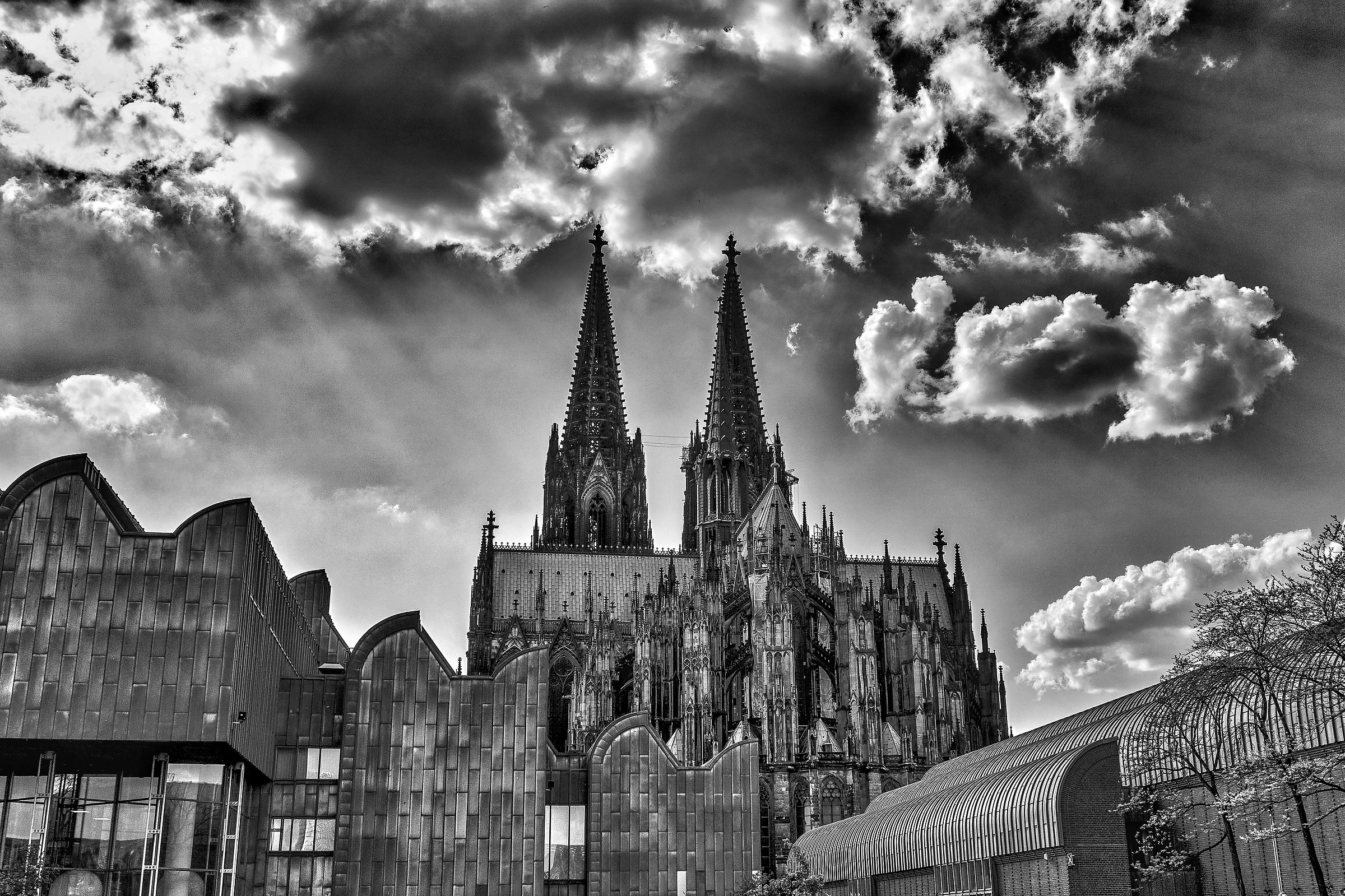 Cologne - The Cathedral b & w