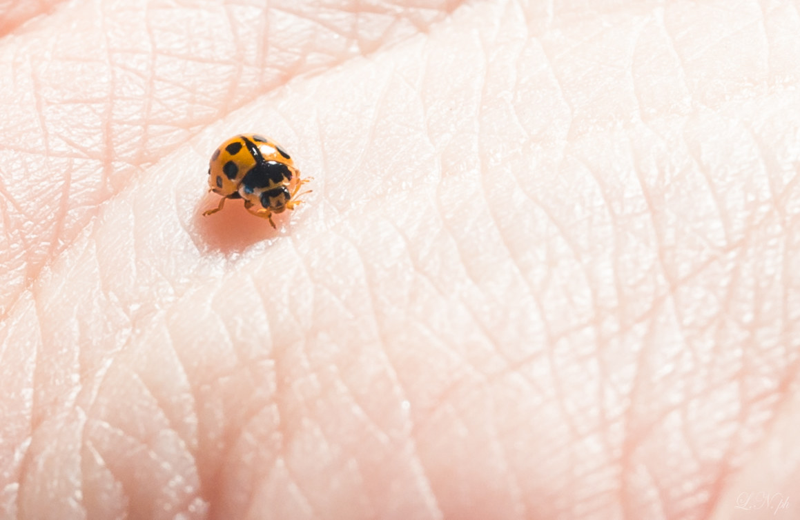 il mio nome è Nella