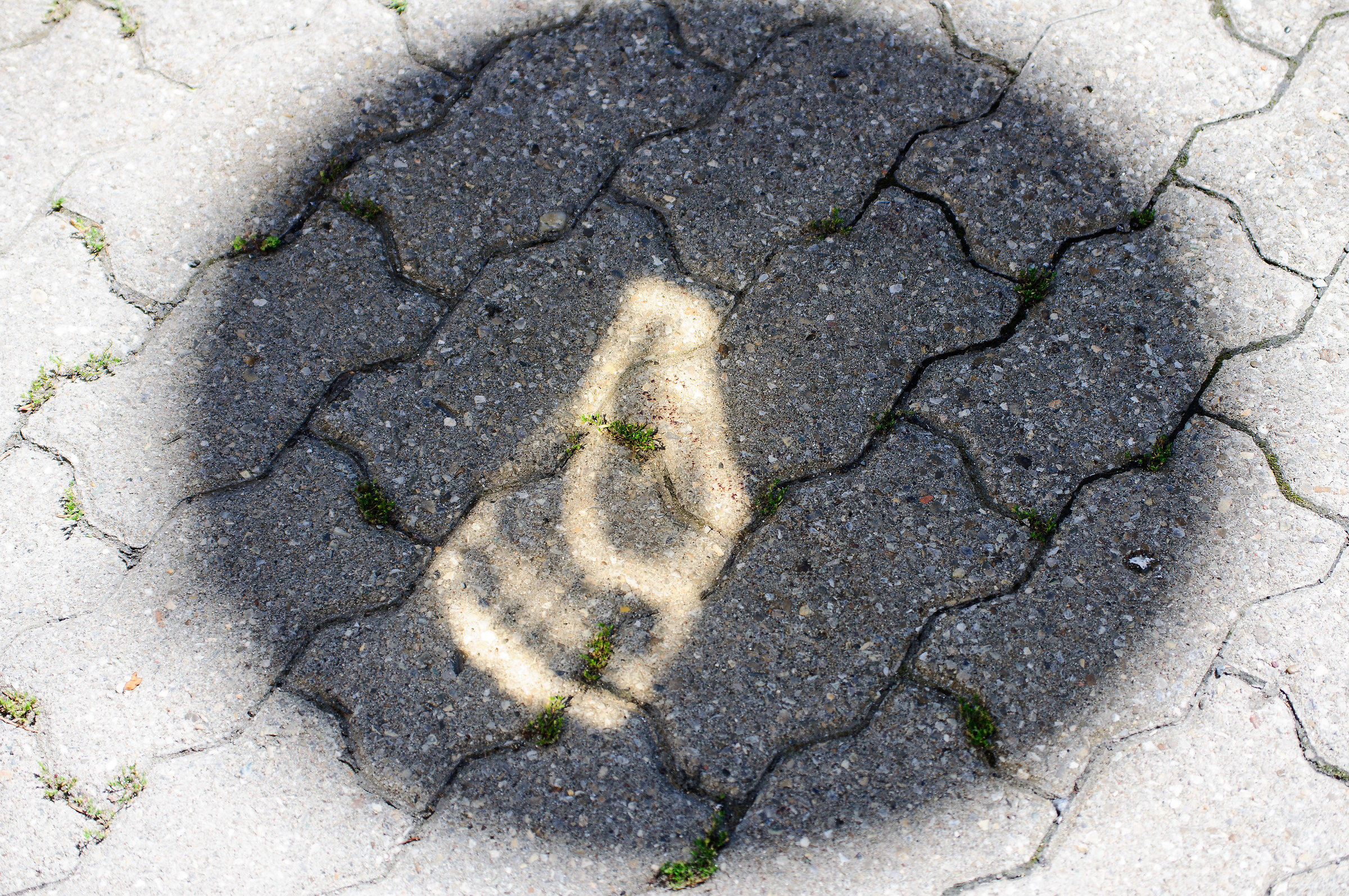 imprevedibili ed affascinanti effetti della luce