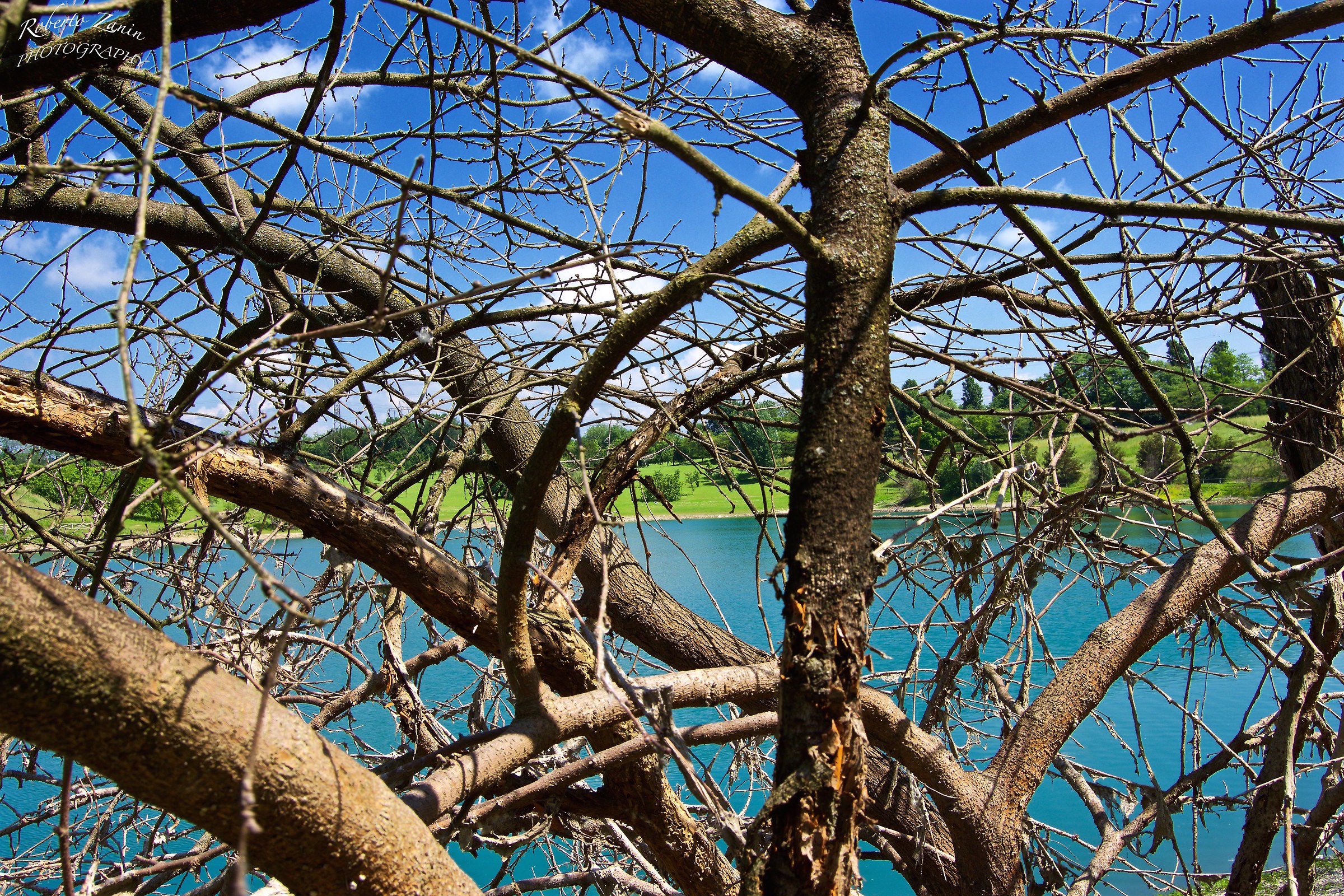 Natura morta e natura viva