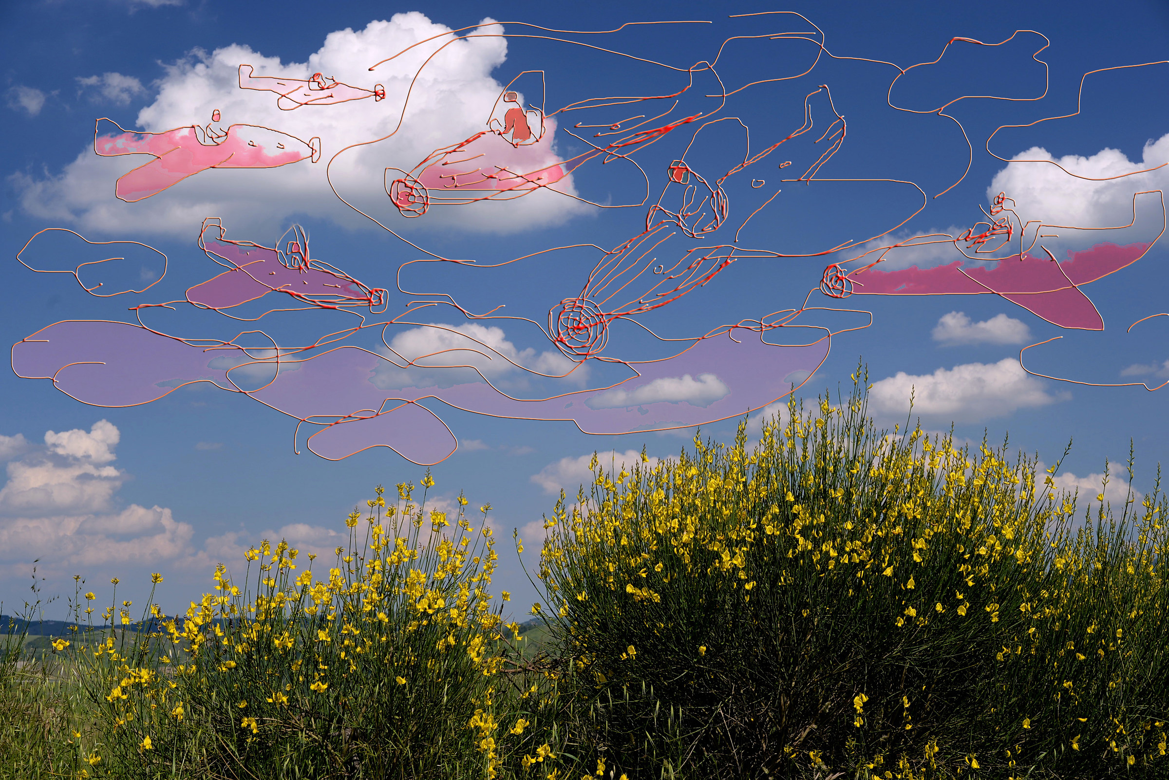 Aeroplani sulle ginestre