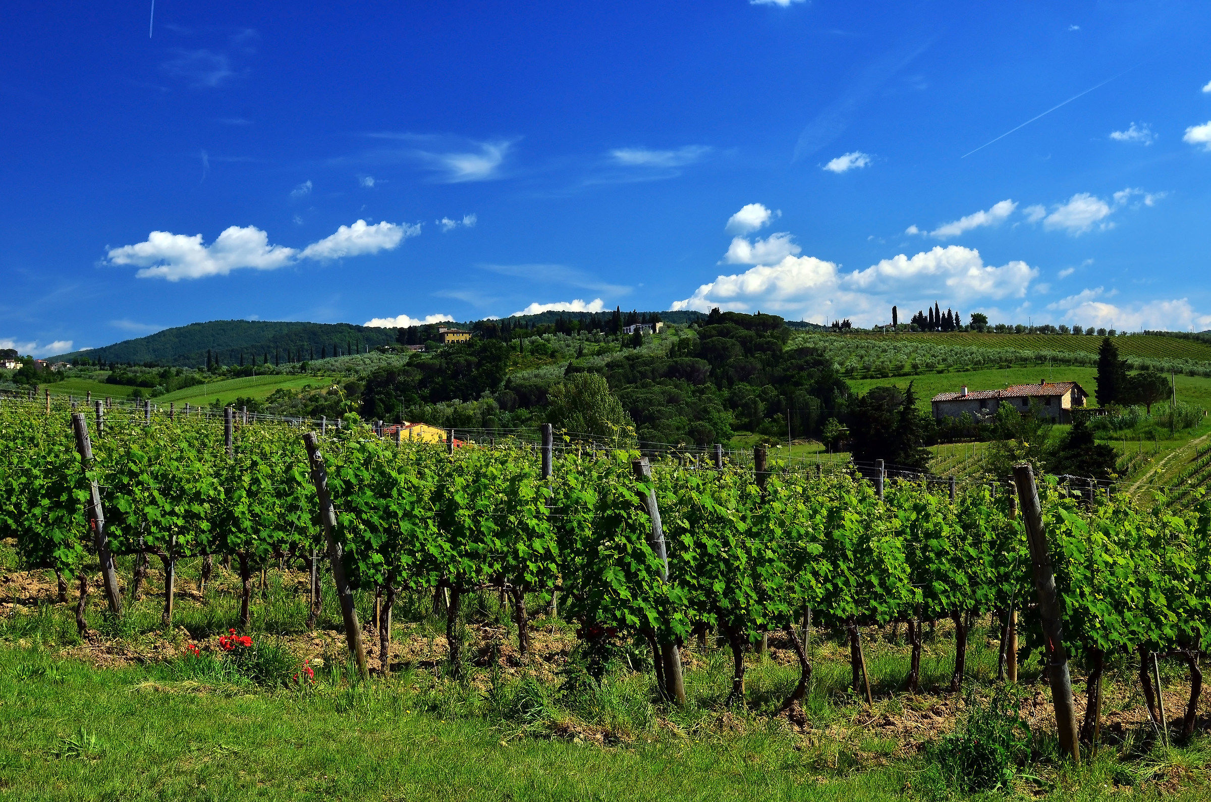 Alle porte del Chianti
