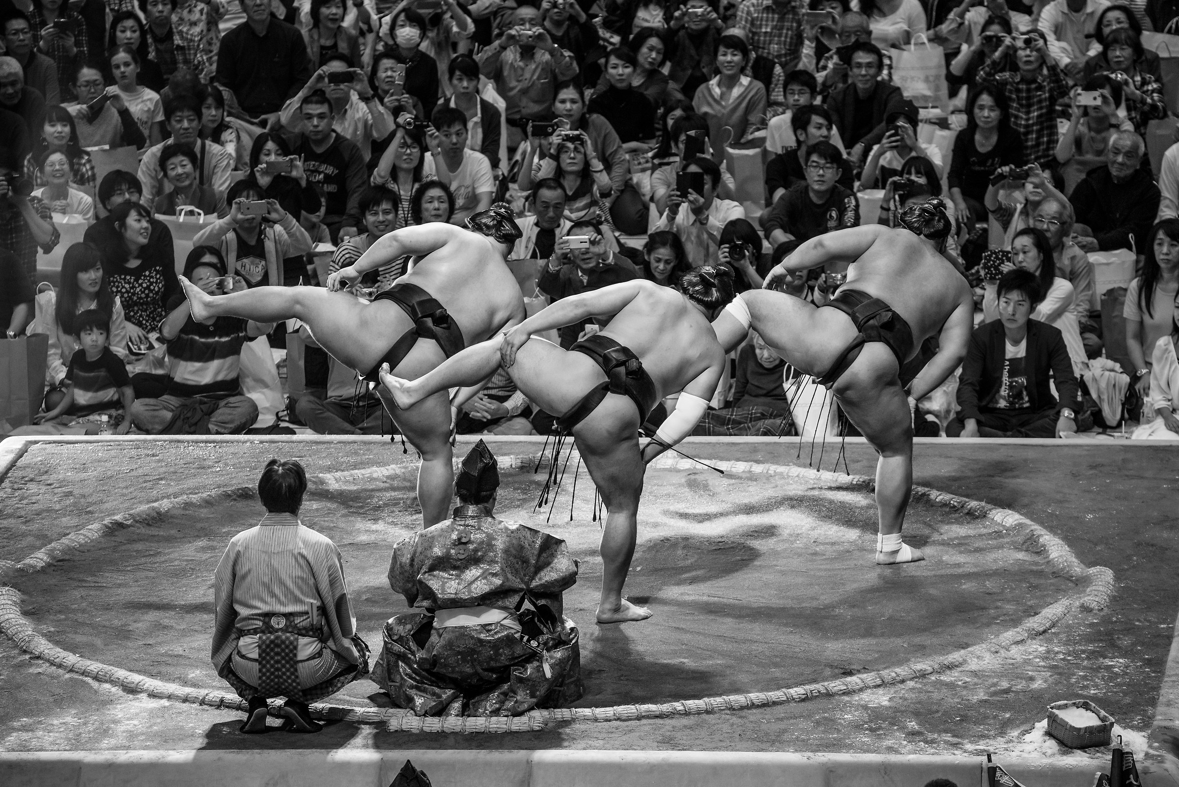 l'arte del sumo