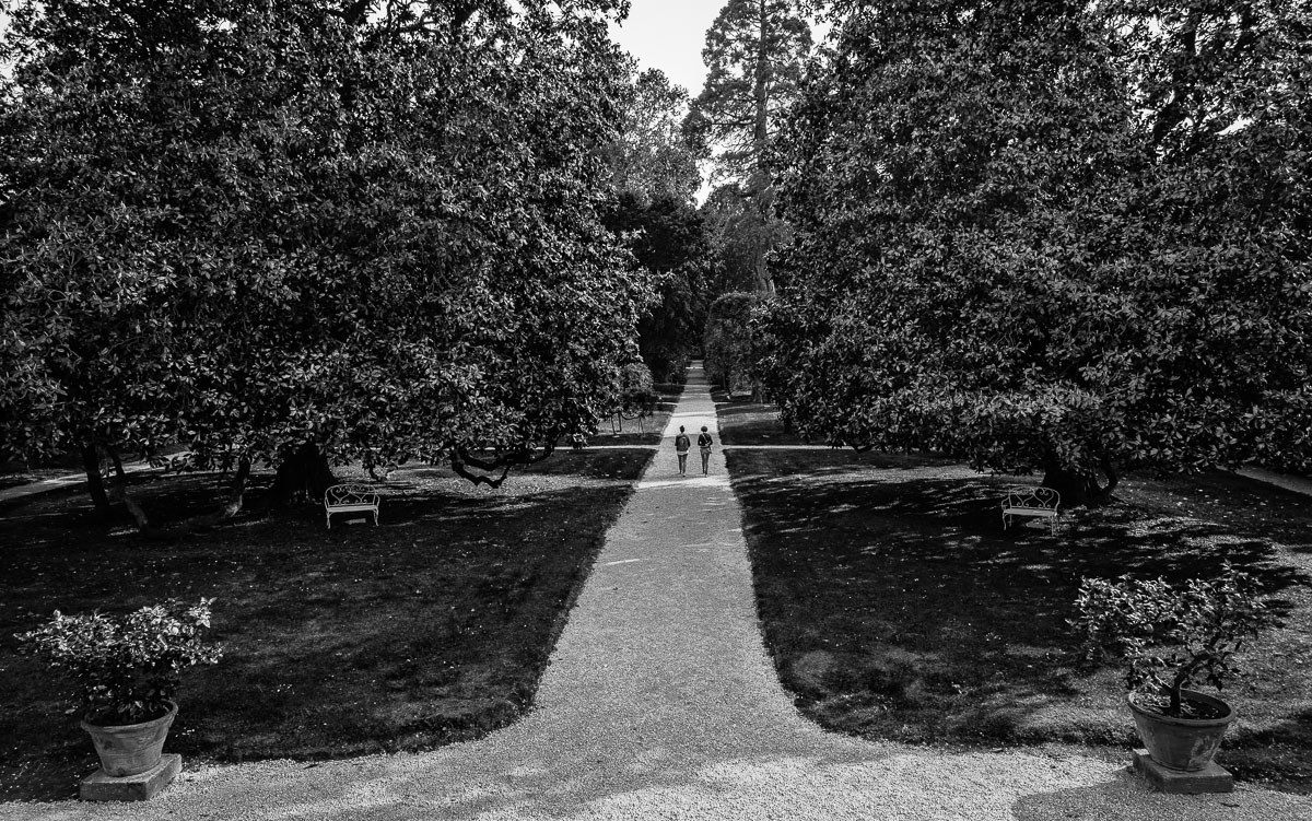 Il giardino delle delizie