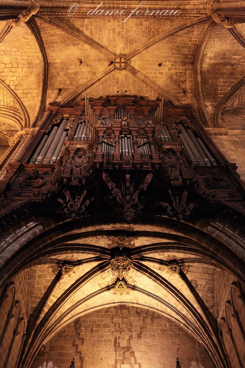 l'organo della cattedrale gotica