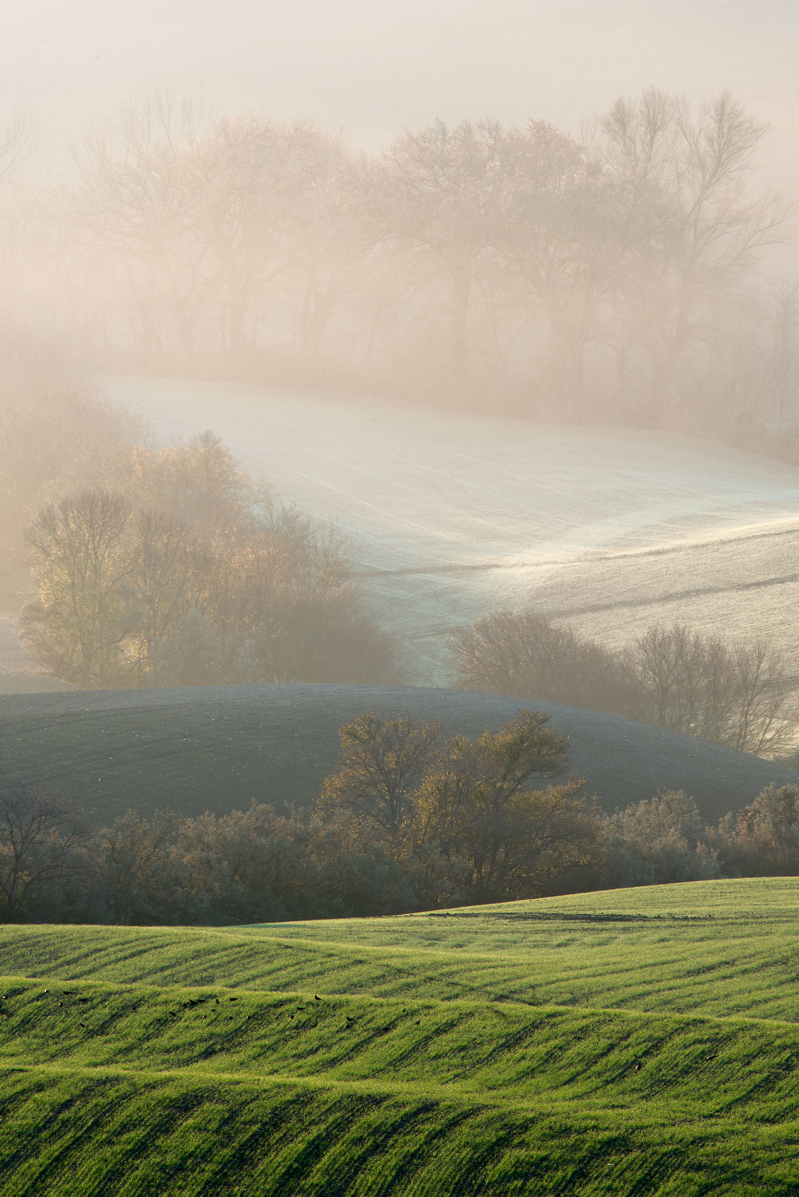 Natural Park Fiastra