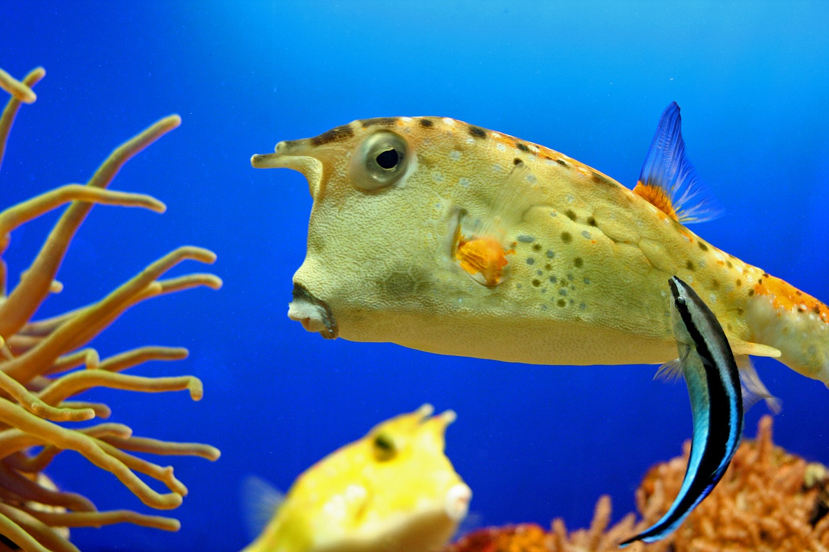 Better to ignore it ...