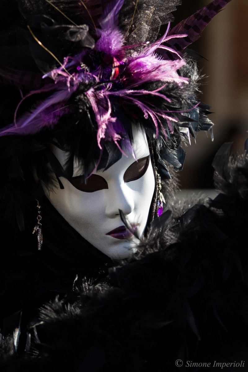 Venice Carnival 8