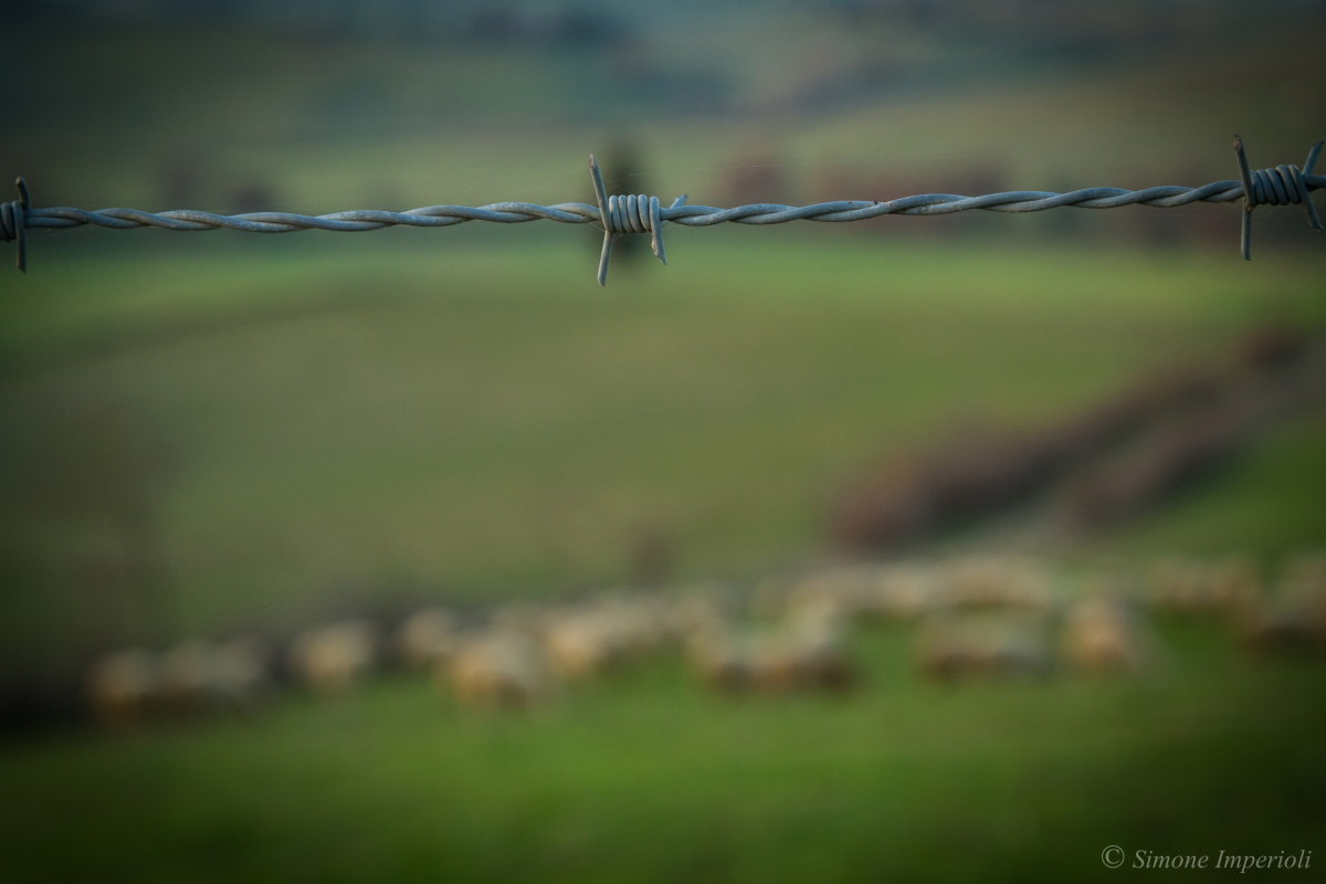 Over the barbed wire