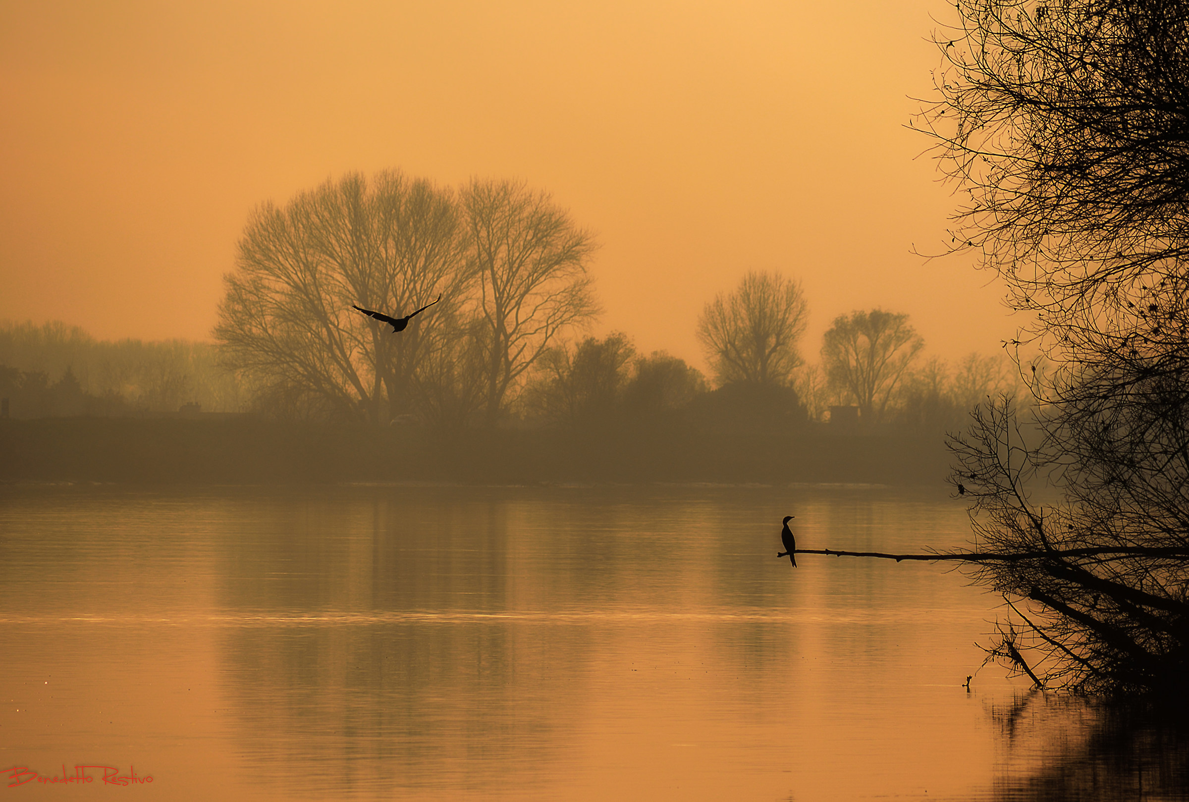fiume Adige, verso l'imbrunire.....
