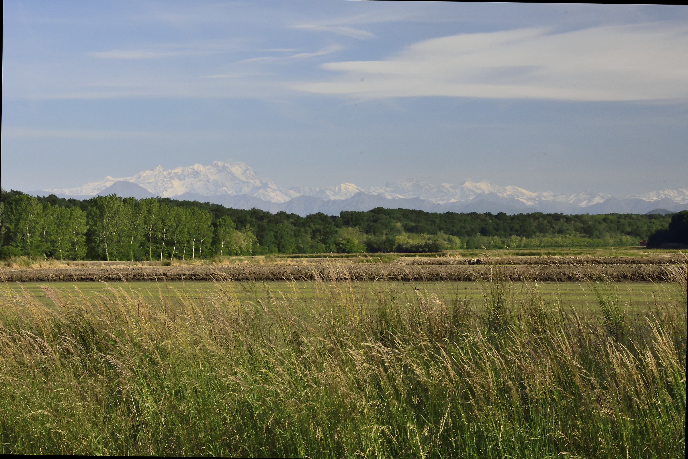 rice paddies and Monte Rosa