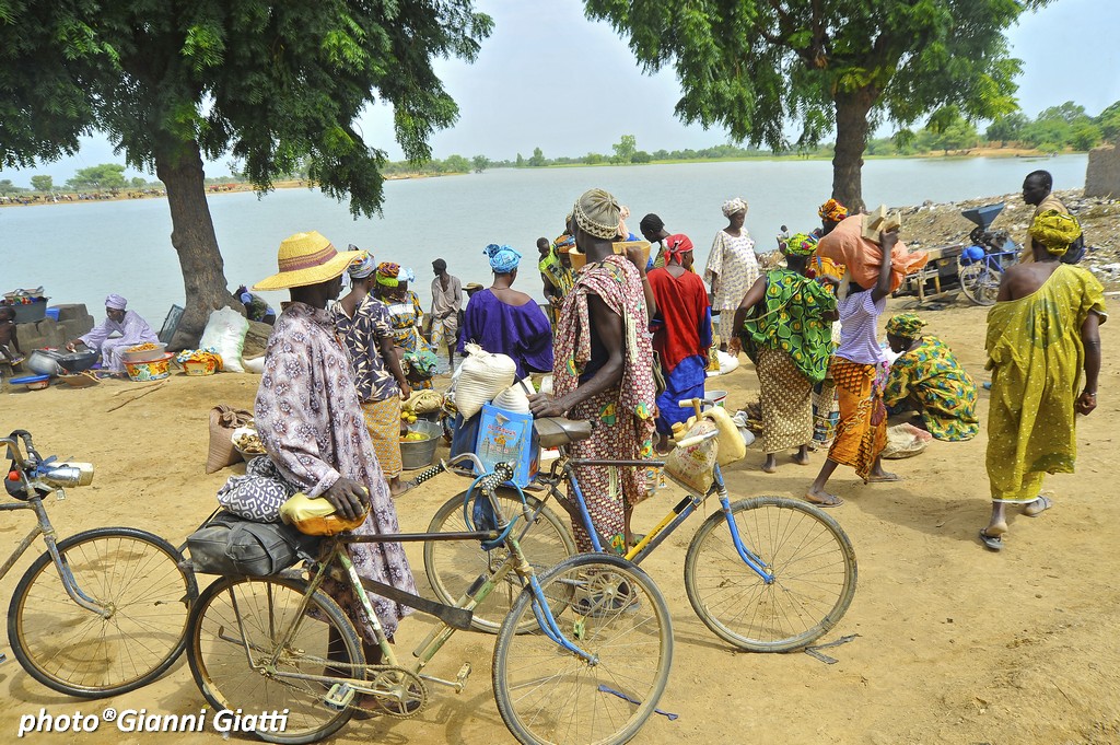 Life on the great river Niger (Mali)