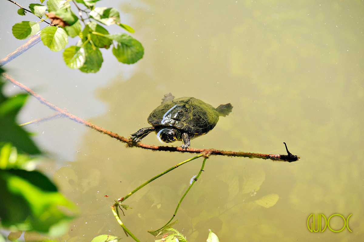 ...e adesso un po' di stretching