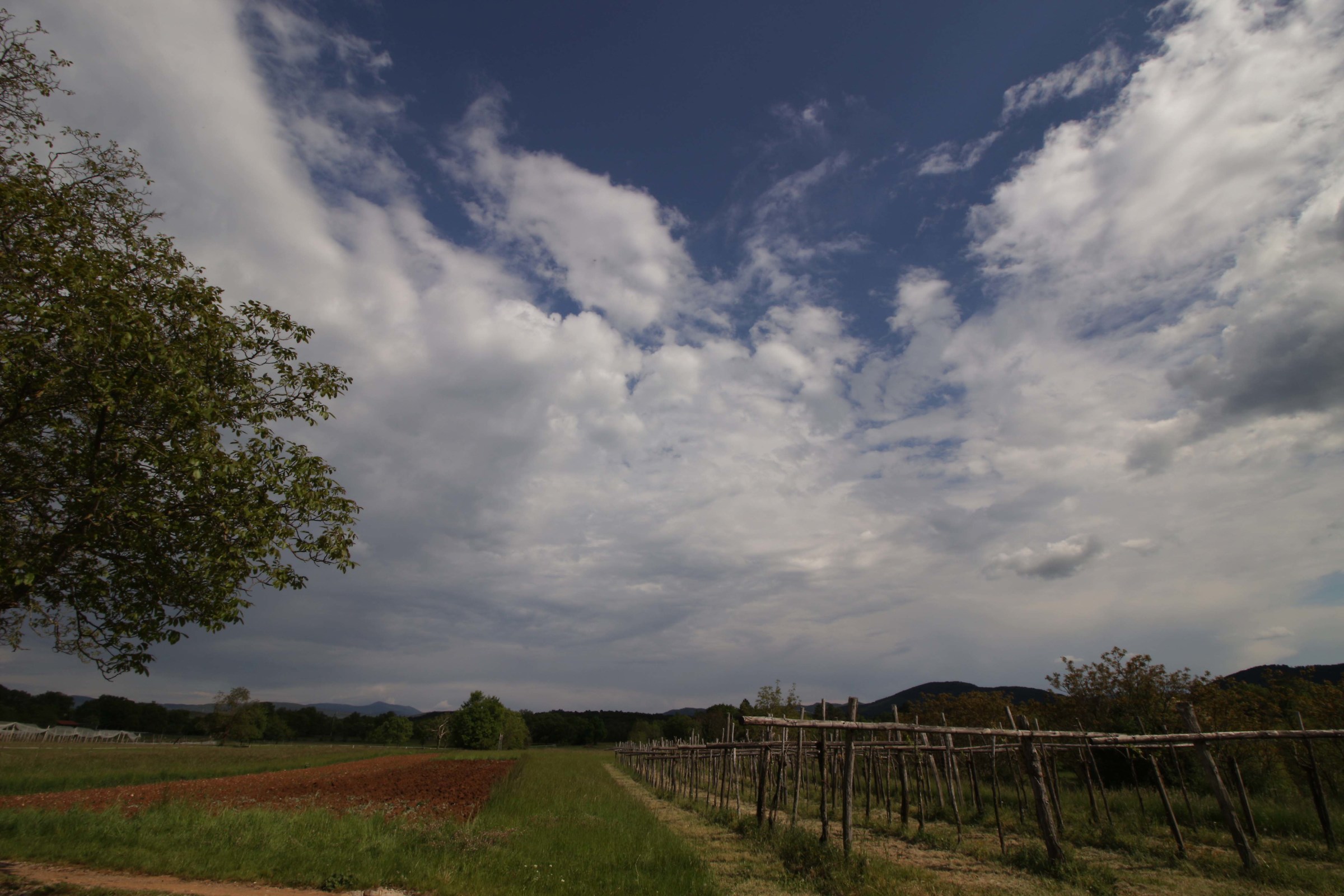 San Daniele del Carso