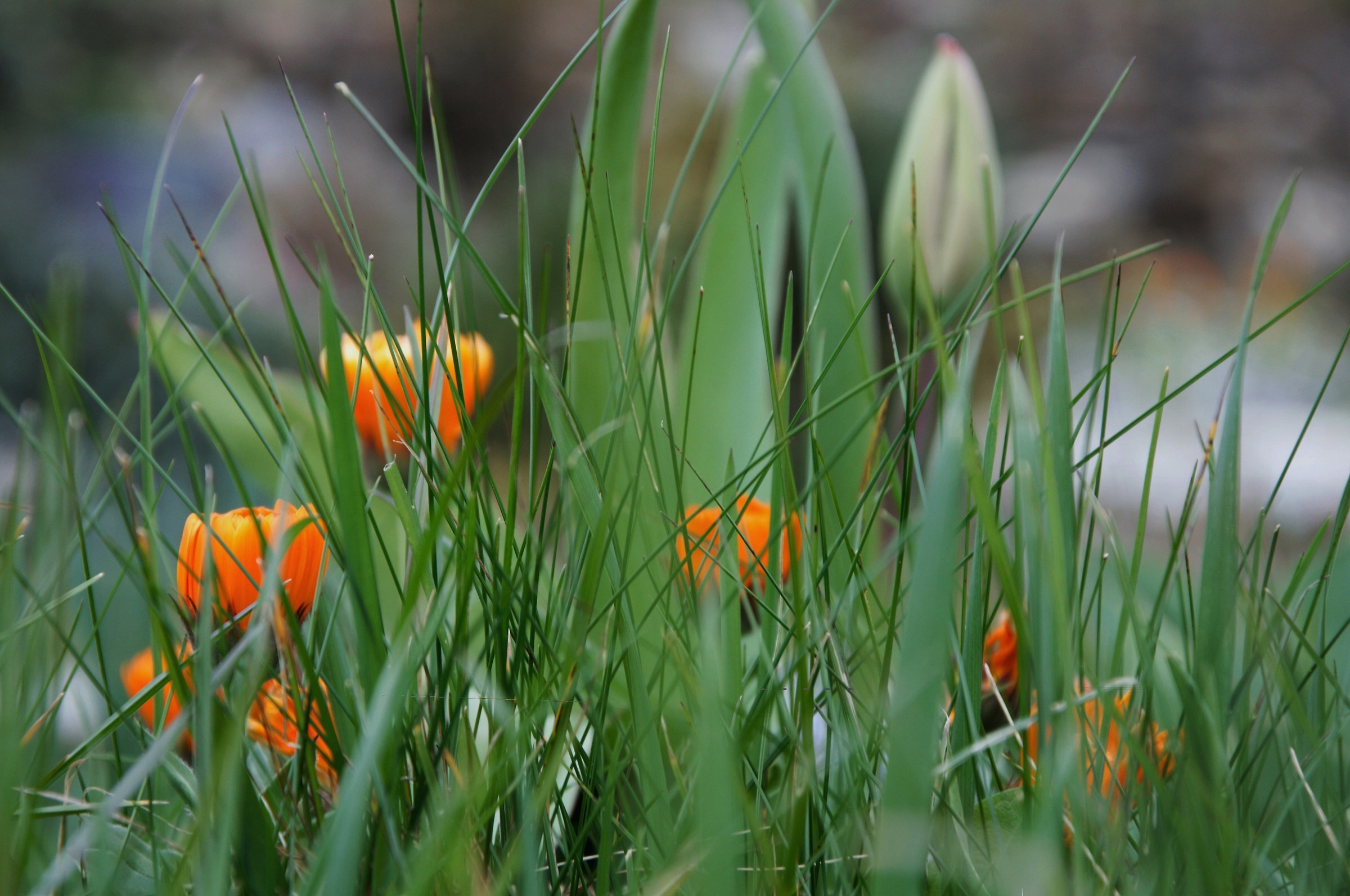 Do not I see I see you