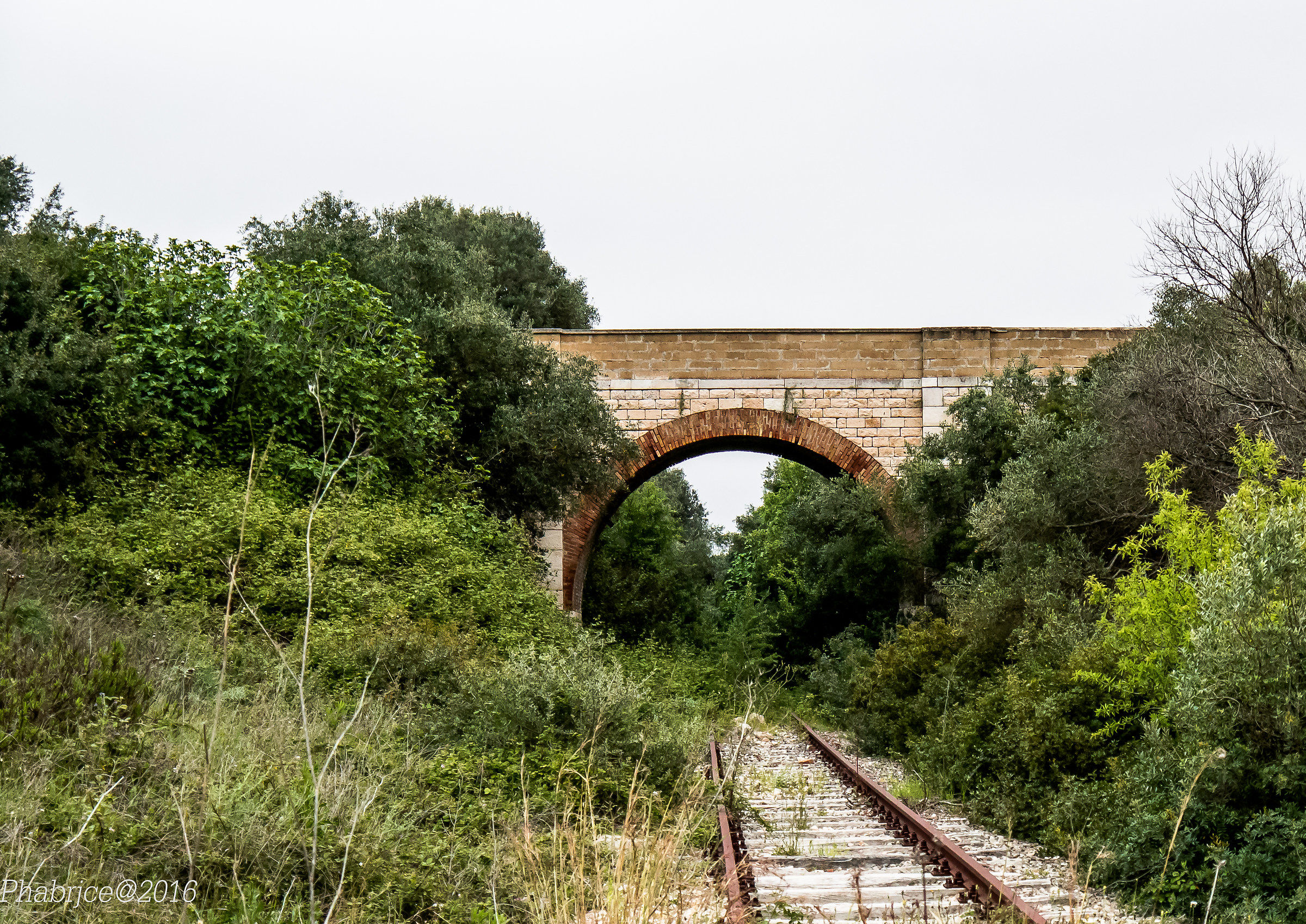 Il ponte sulla ferrovia abbandonata