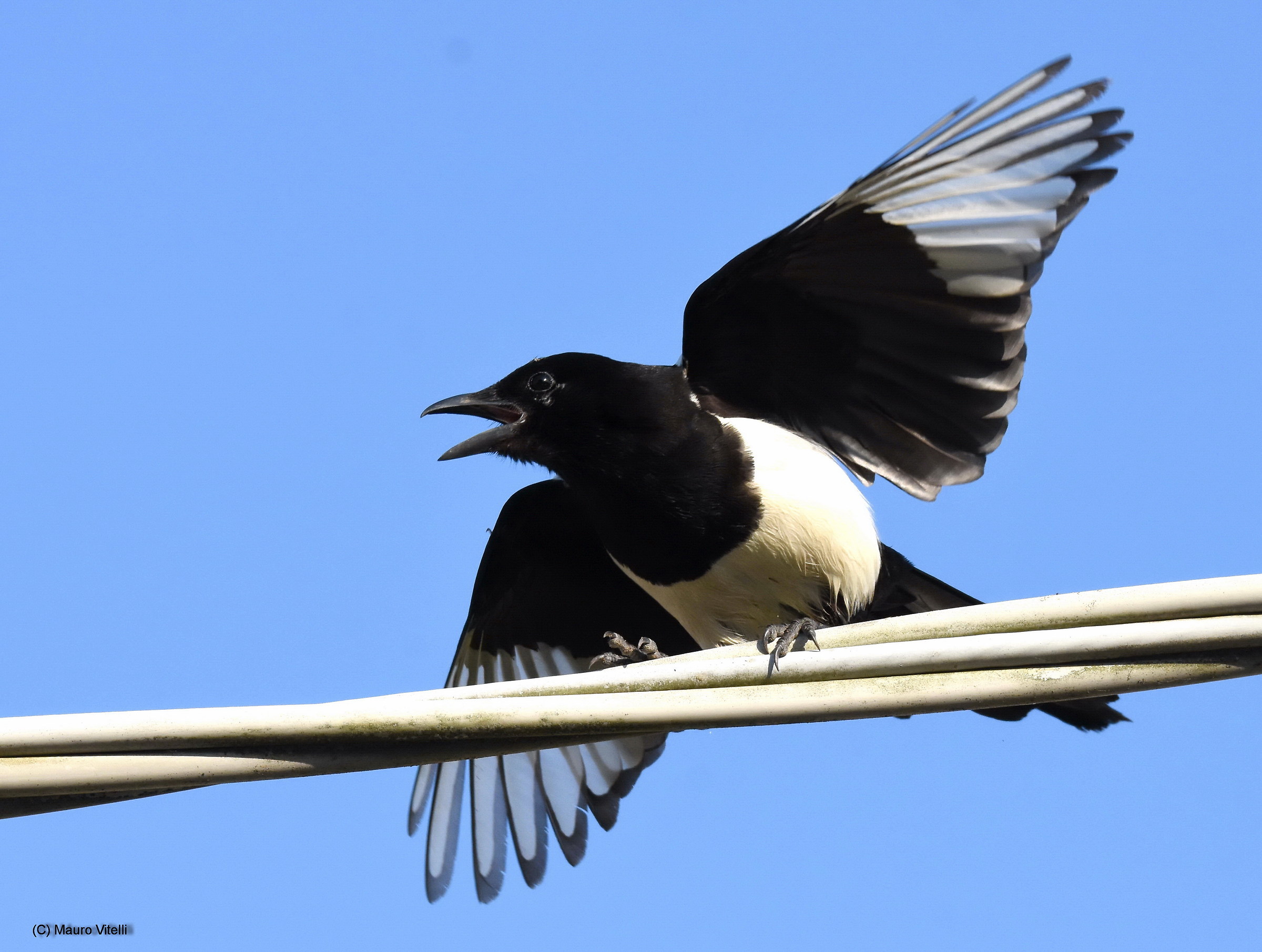 Stopped at a traffic light