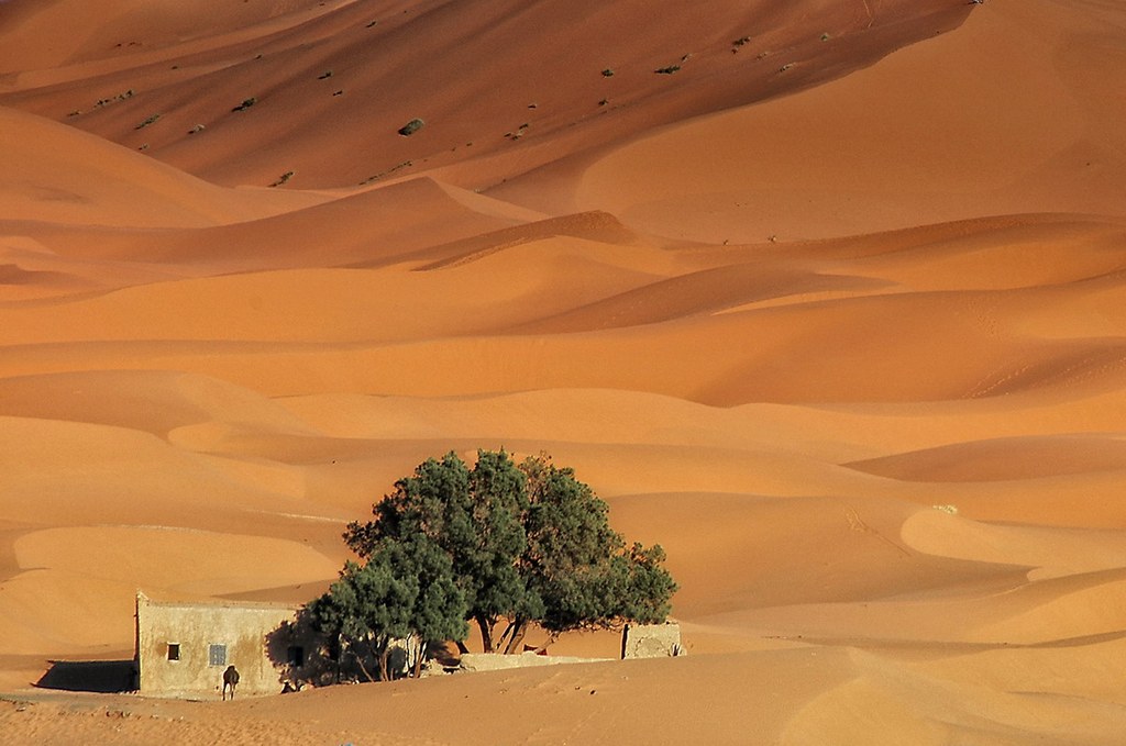 FOR sale!! - Marocco