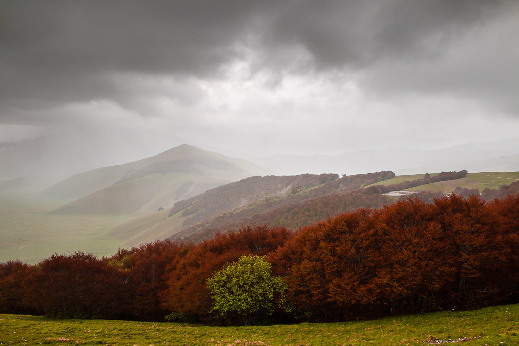Road to Castelluccio