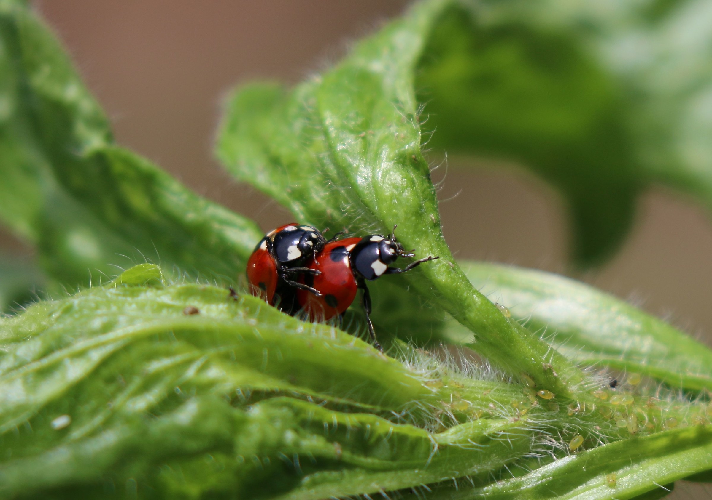 We also ... in our small ... !!!