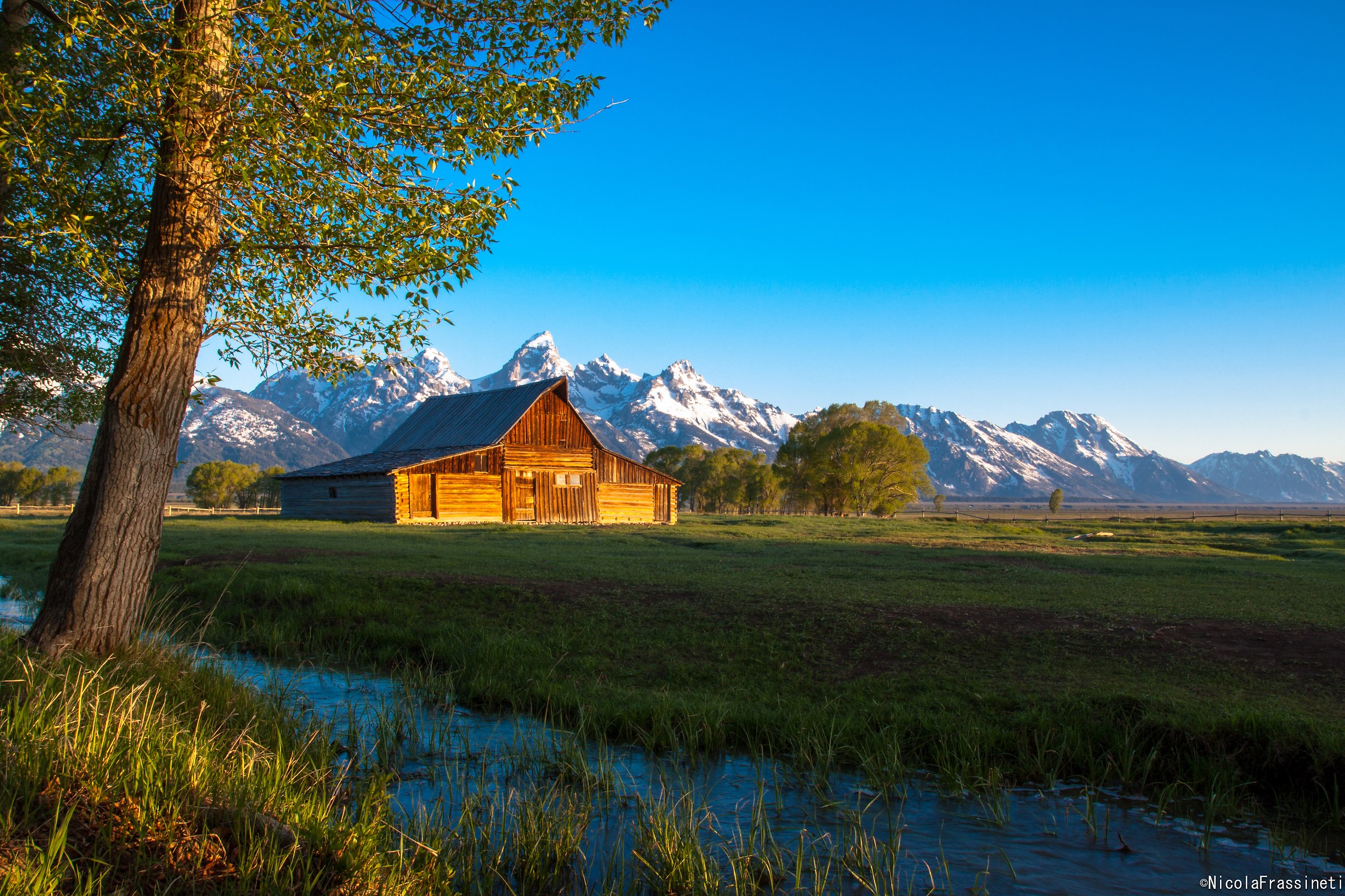 First sunbeams on Mormon Row