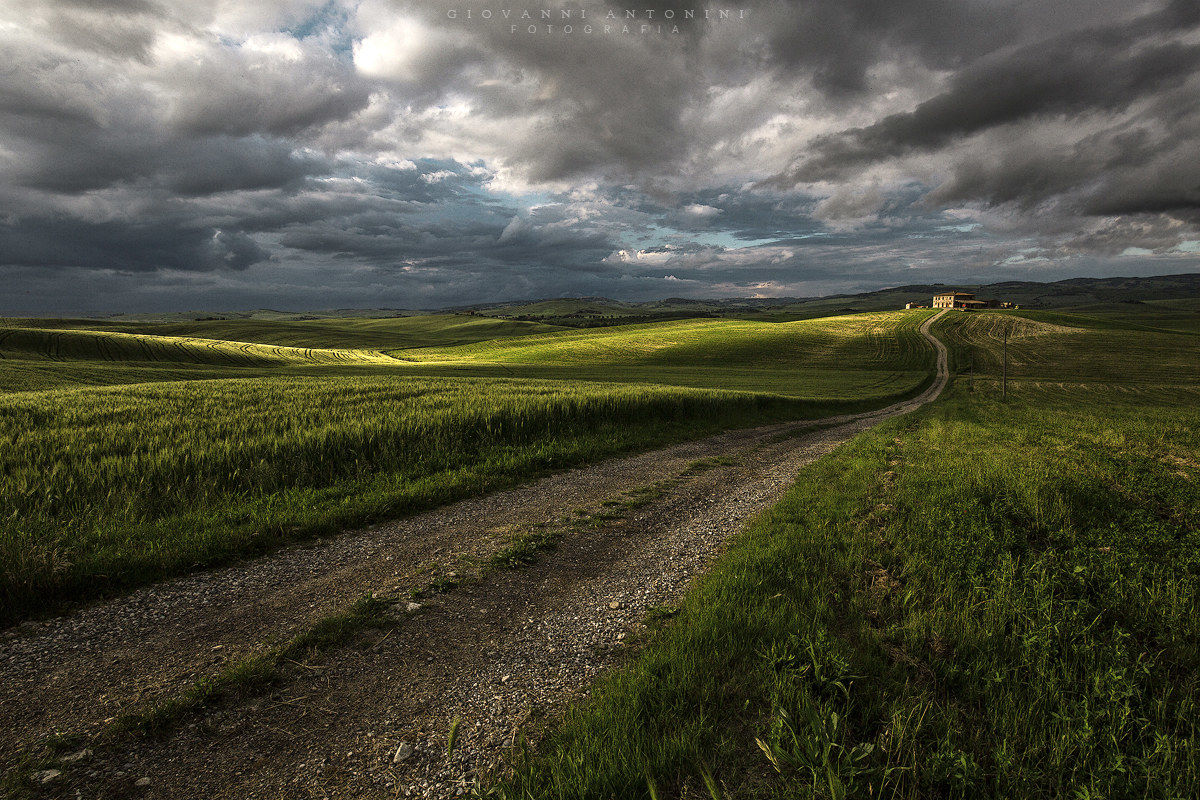 Strada verso la luce - Val d'Orcia