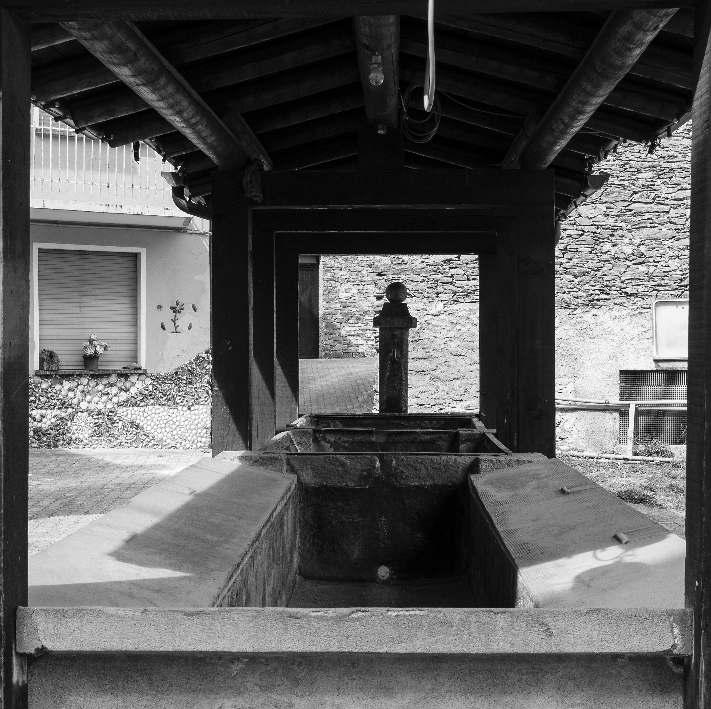 il fiore della valtellina