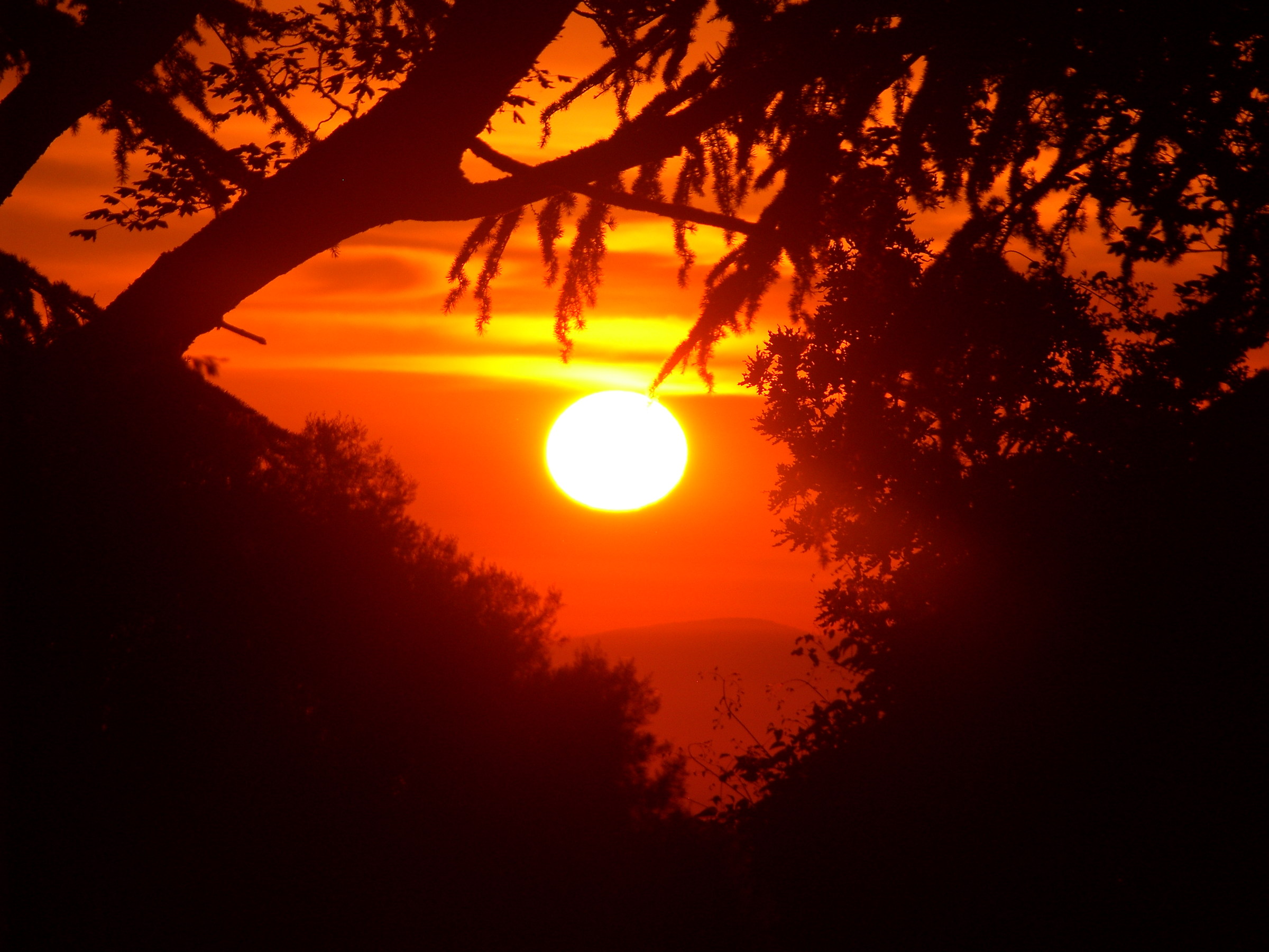 Sunset from Ariccia 2