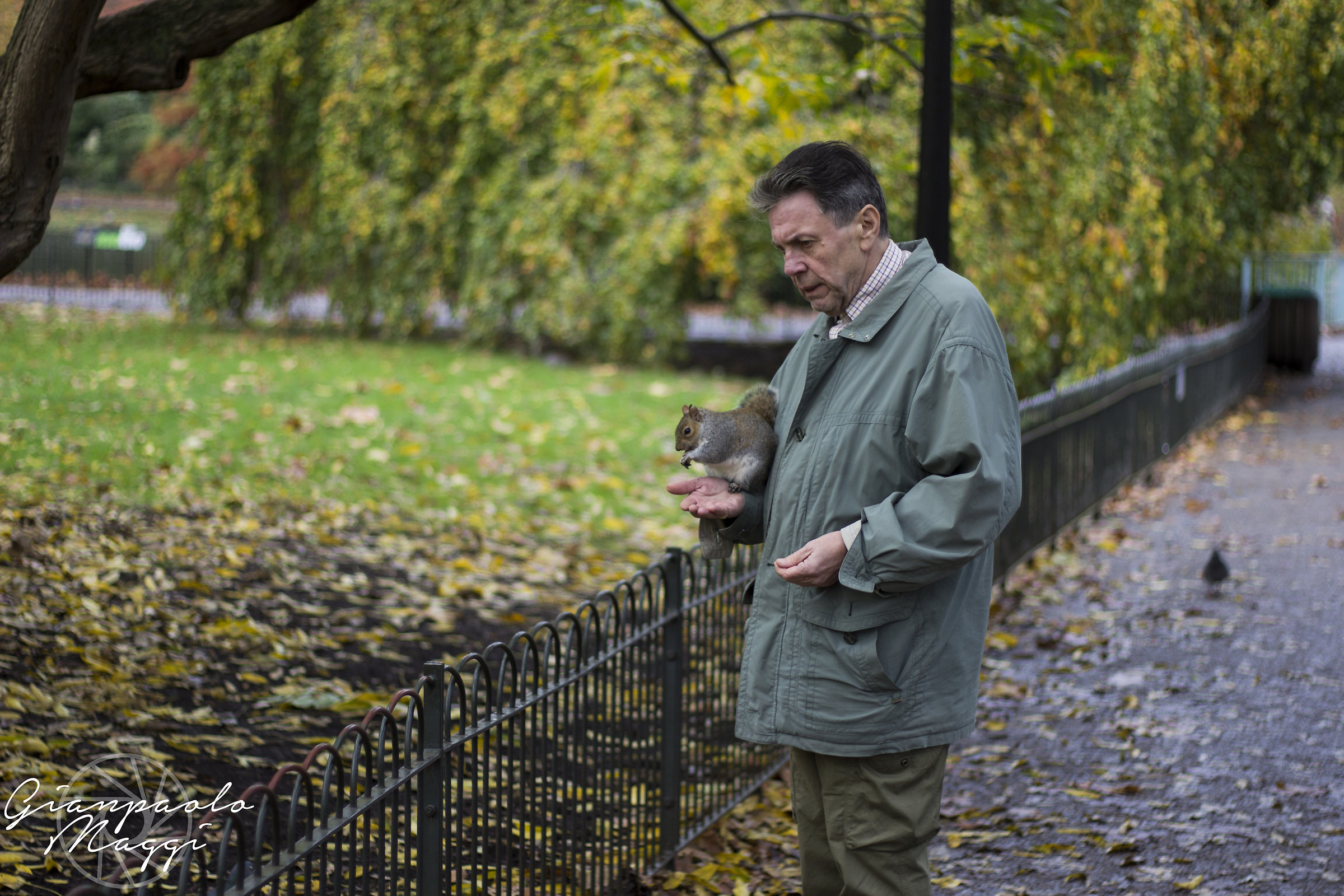 A squirrel to Friend