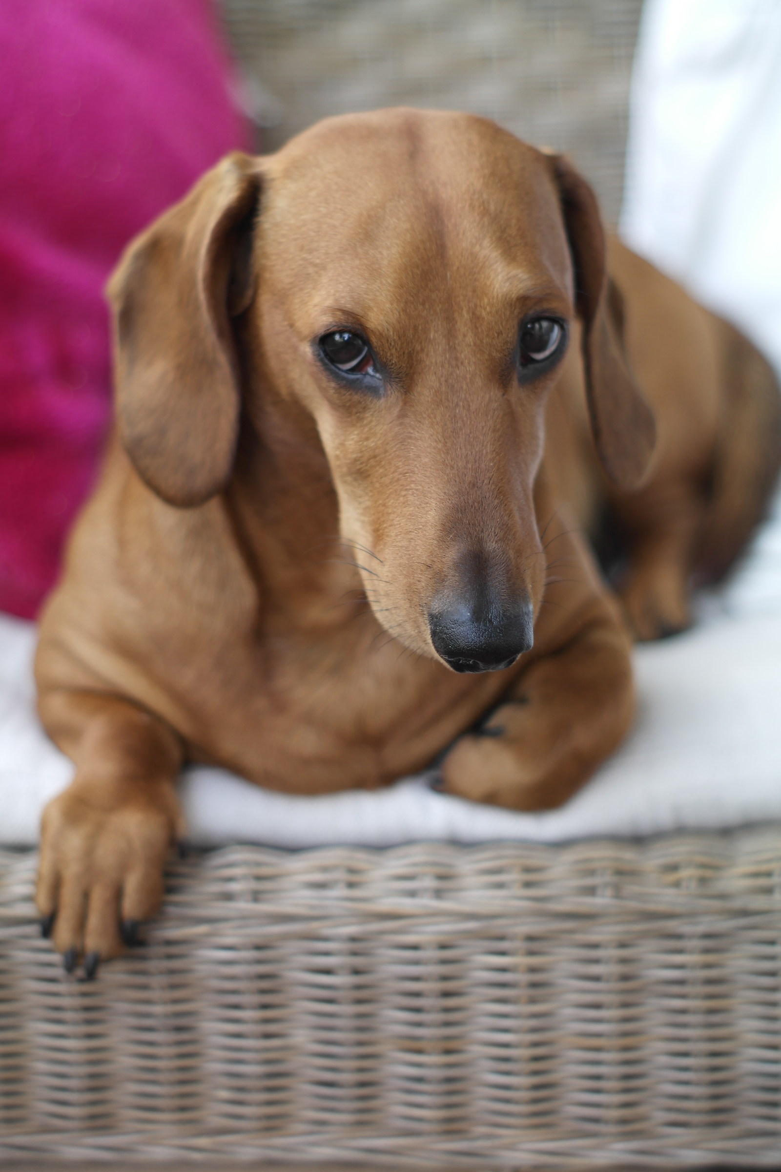 Always here with you