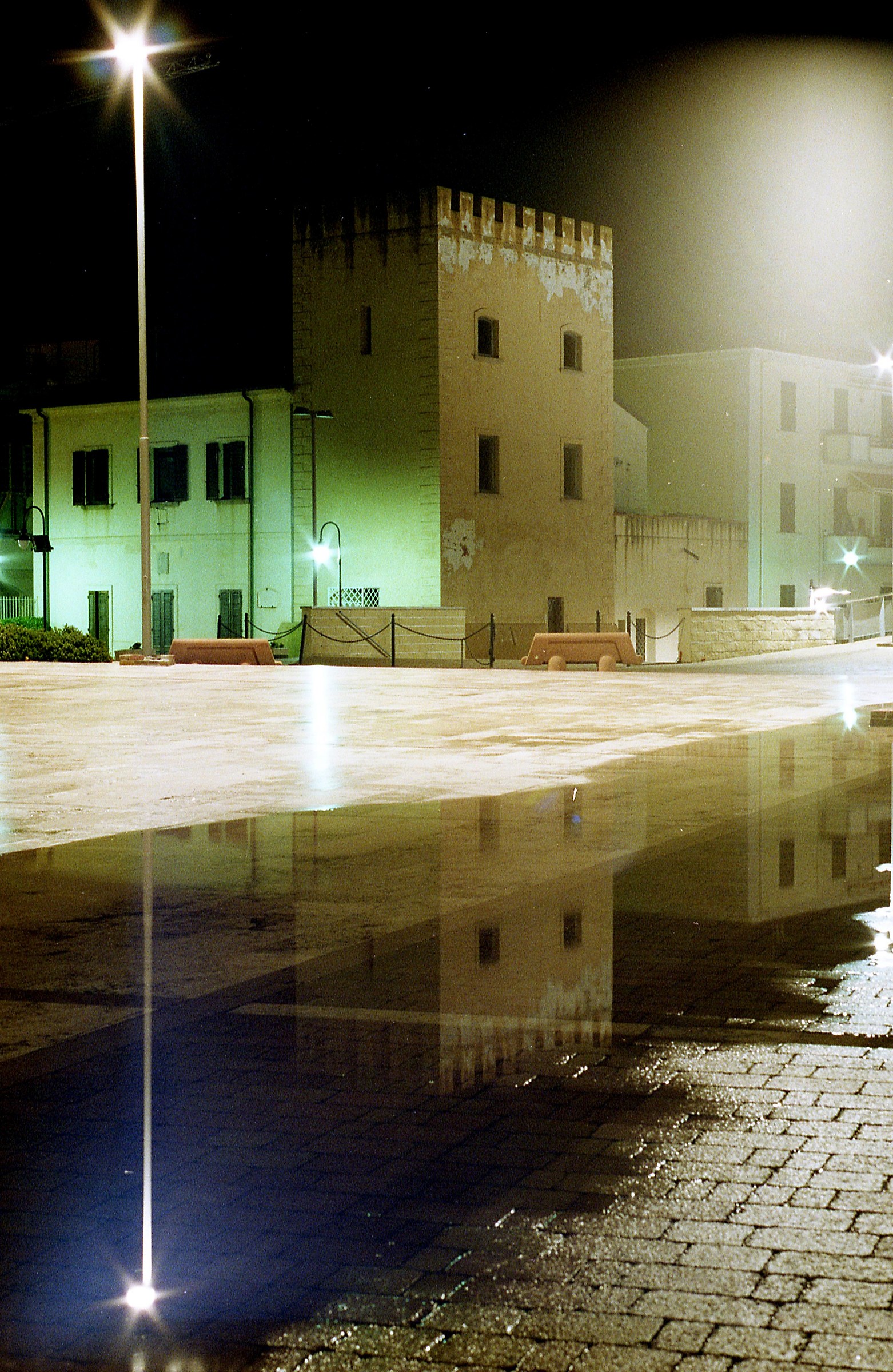 nocturnal reflections