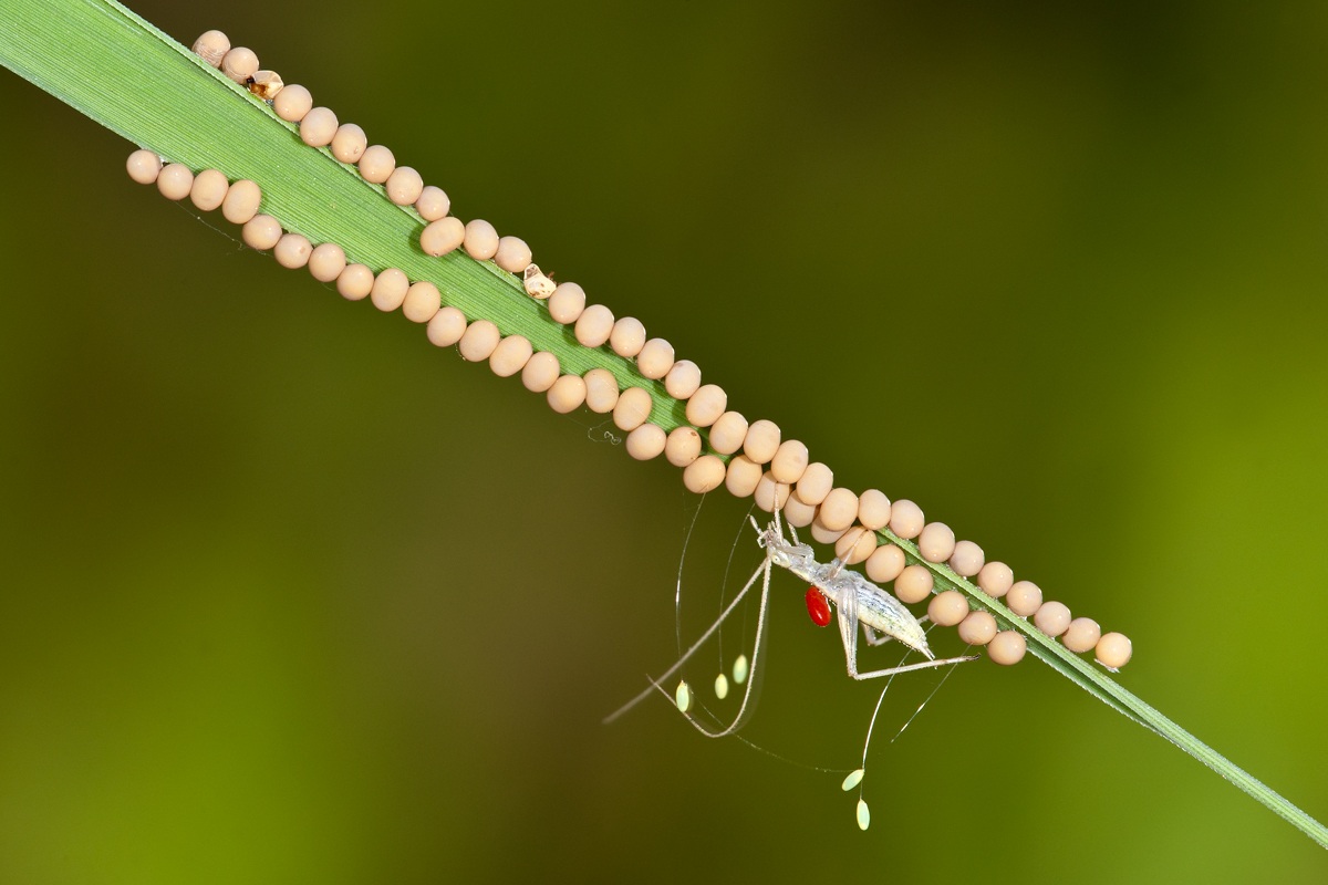 Ognuno ha i suoi problemi.