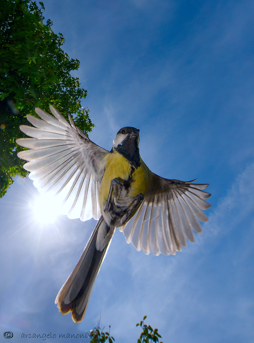 Passaggio sotto il sole