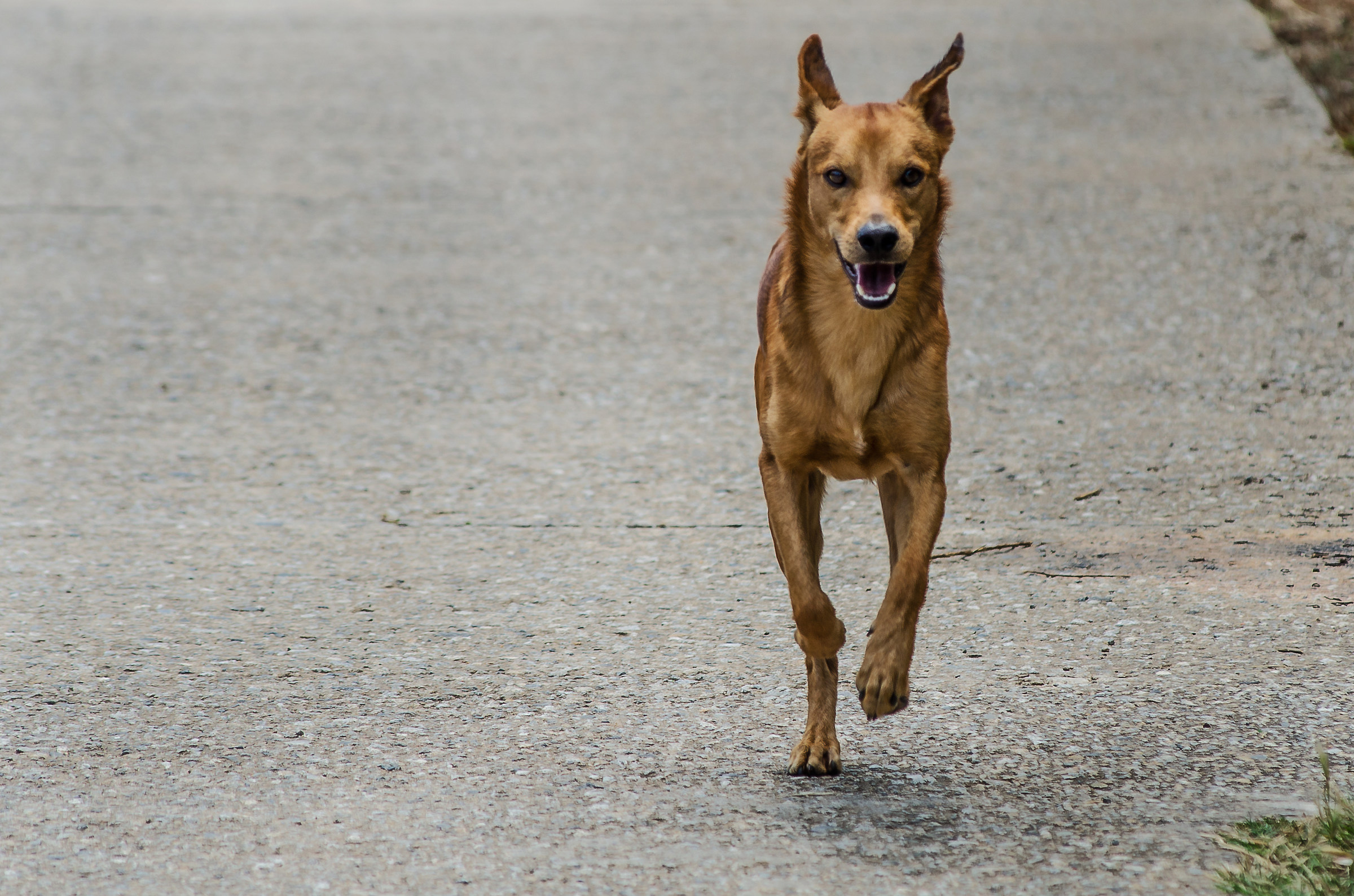 A stranger to see me happy
