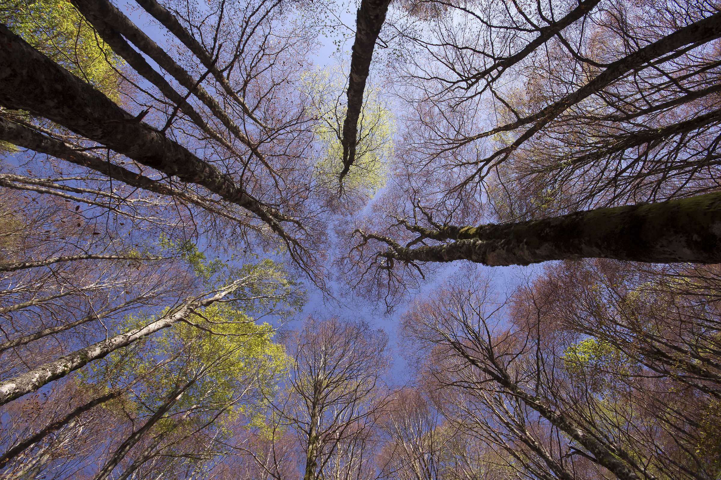 "And then, Higher and still on ..."