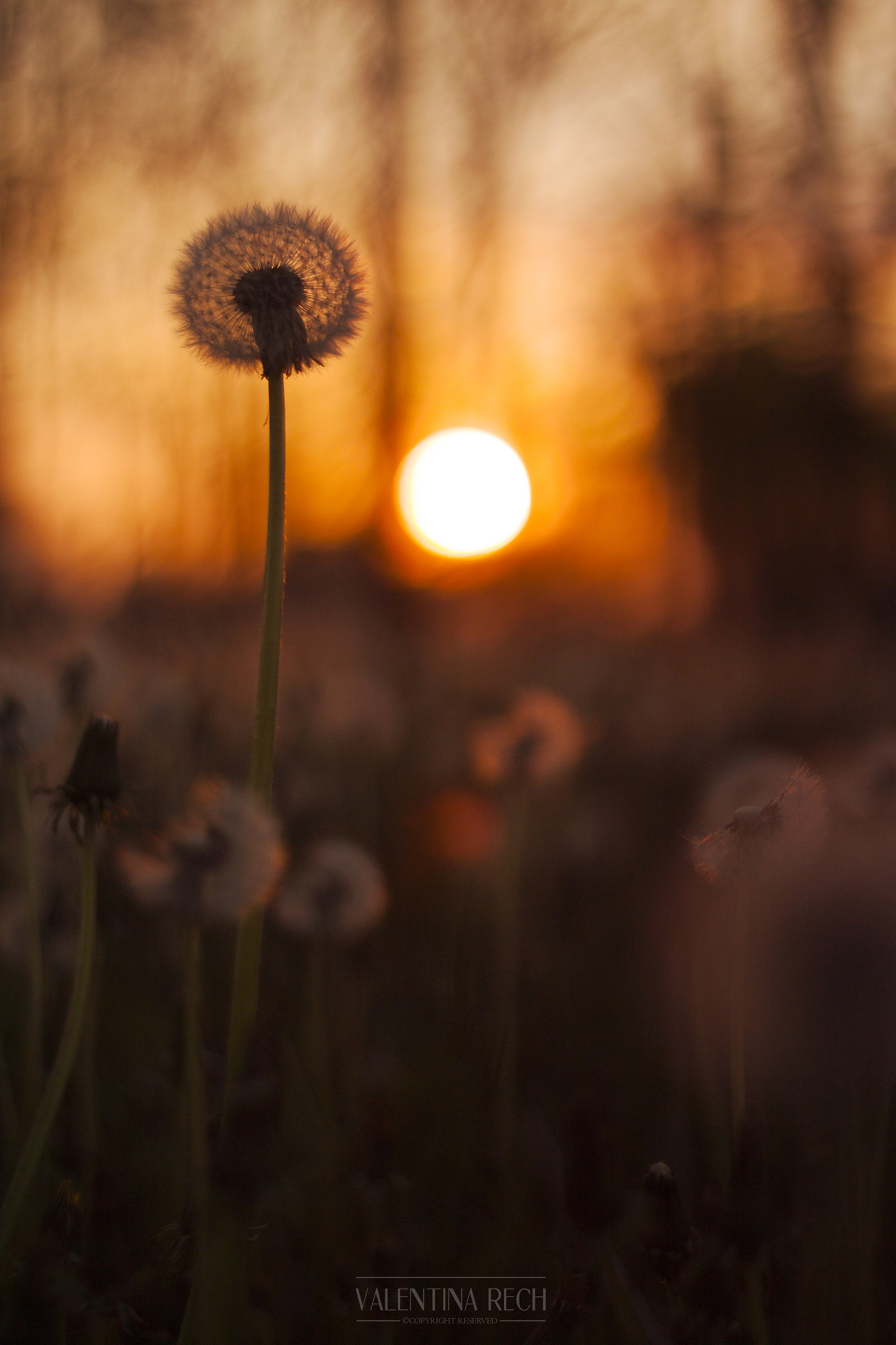 Shower heads at sunset