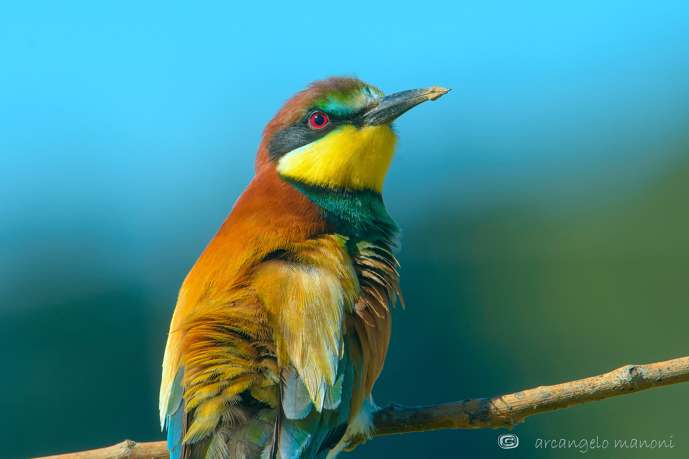 I segni del lavoro di scavo