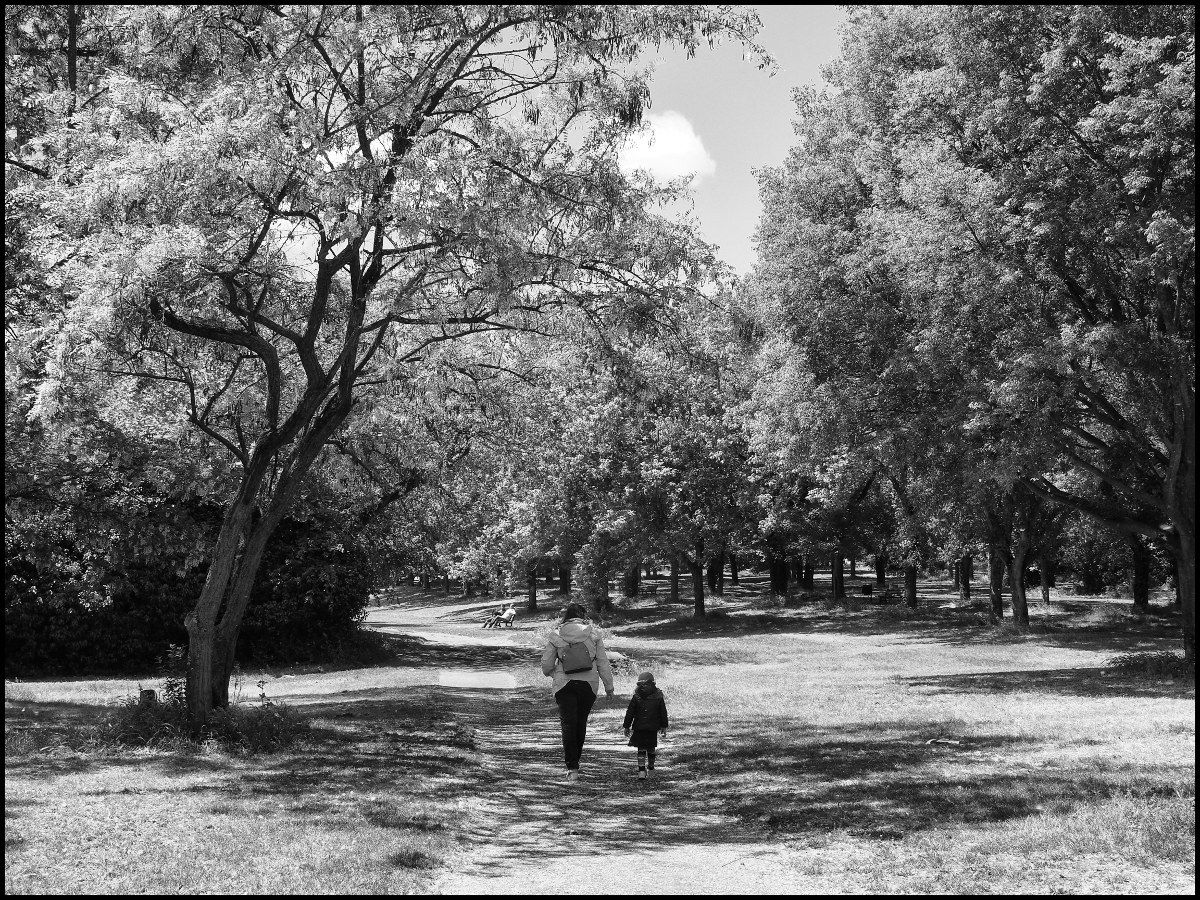 A walk in the park ...