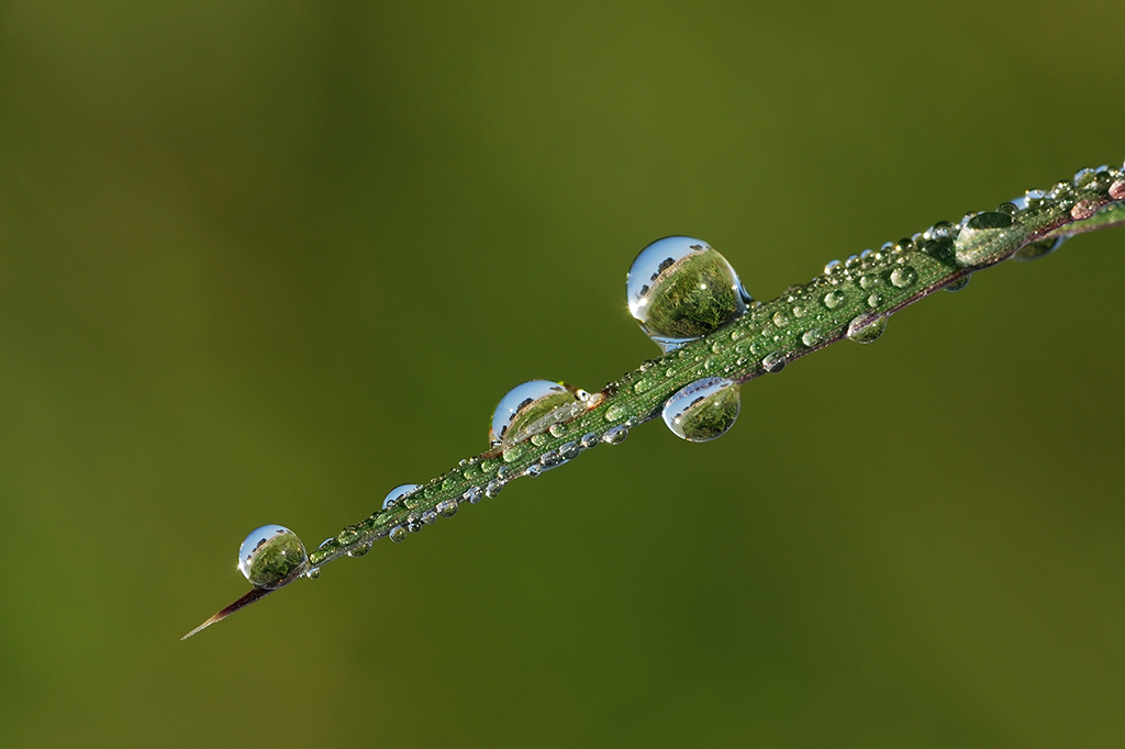 Reflections of country micropaesaggi