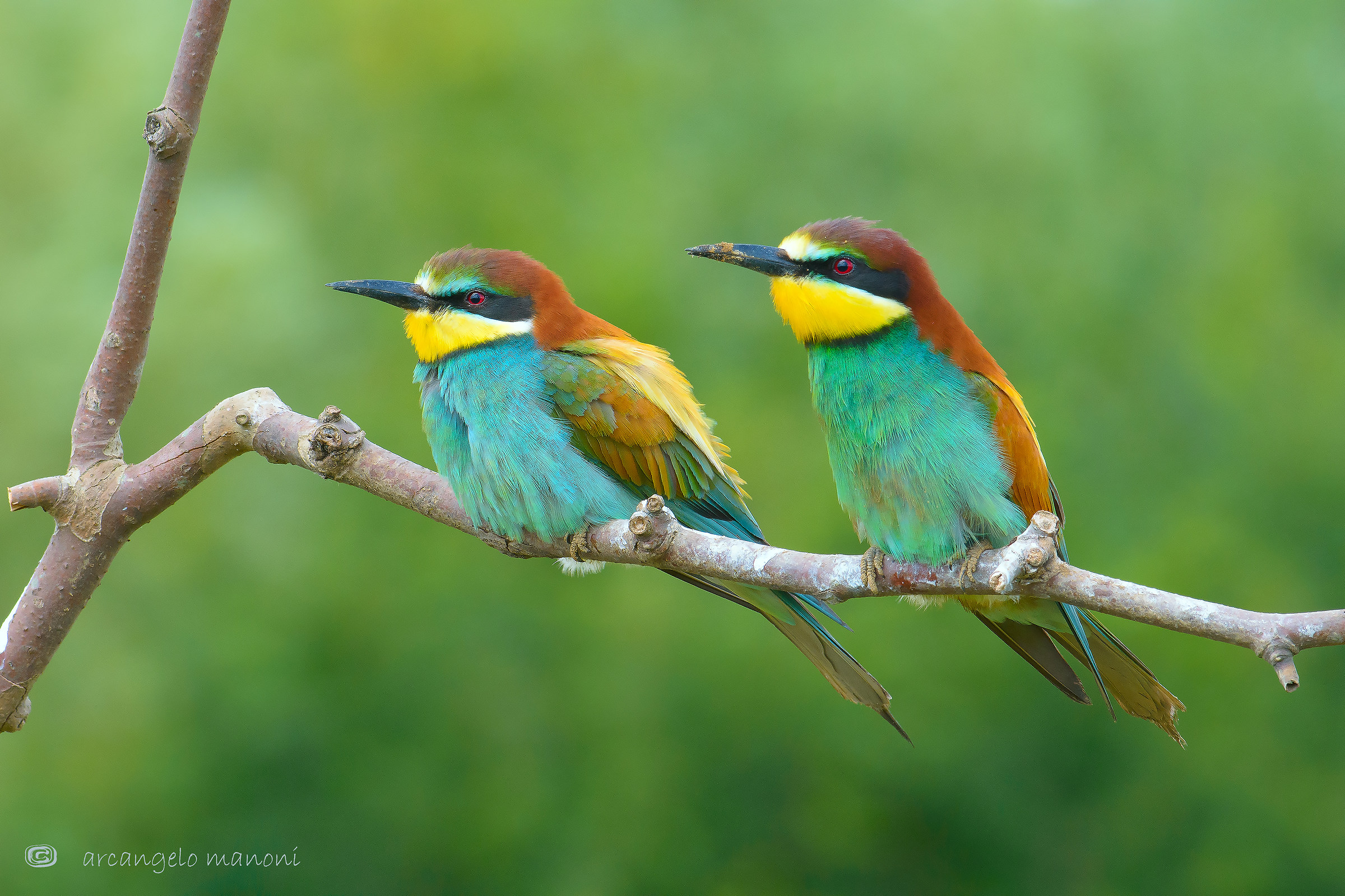 Siamo la coppia piu bella del mondo