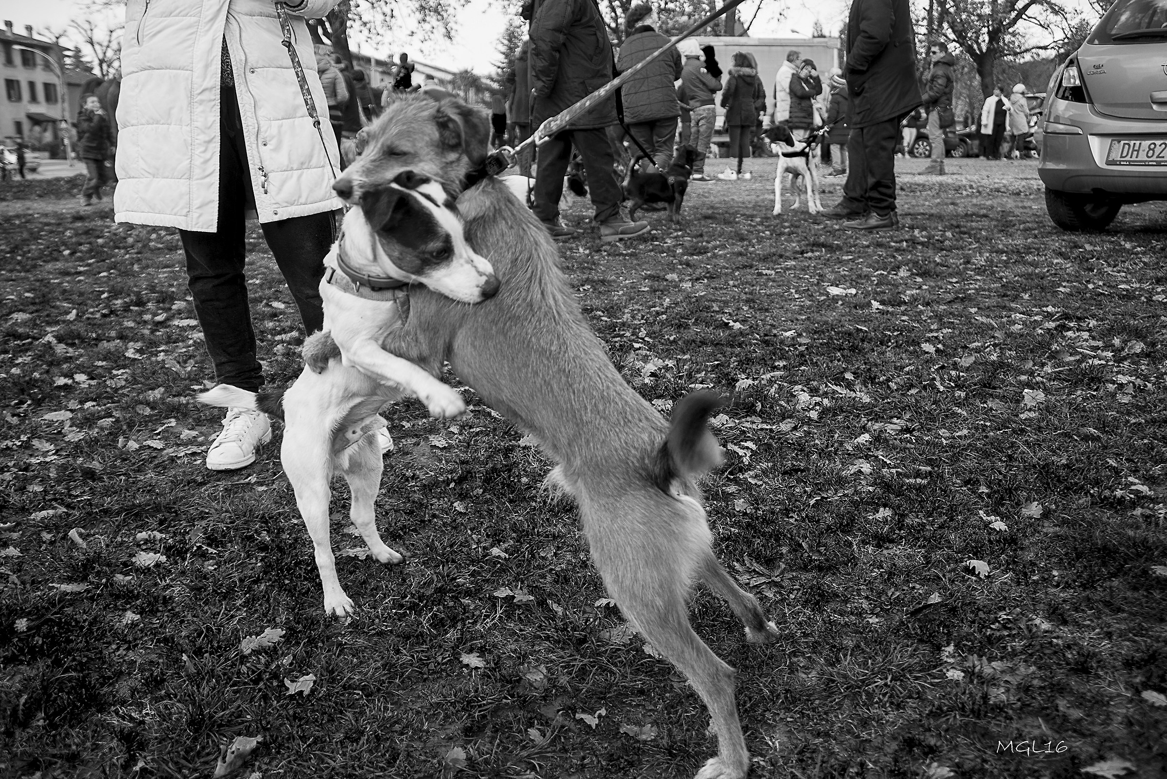 Friends will be friends