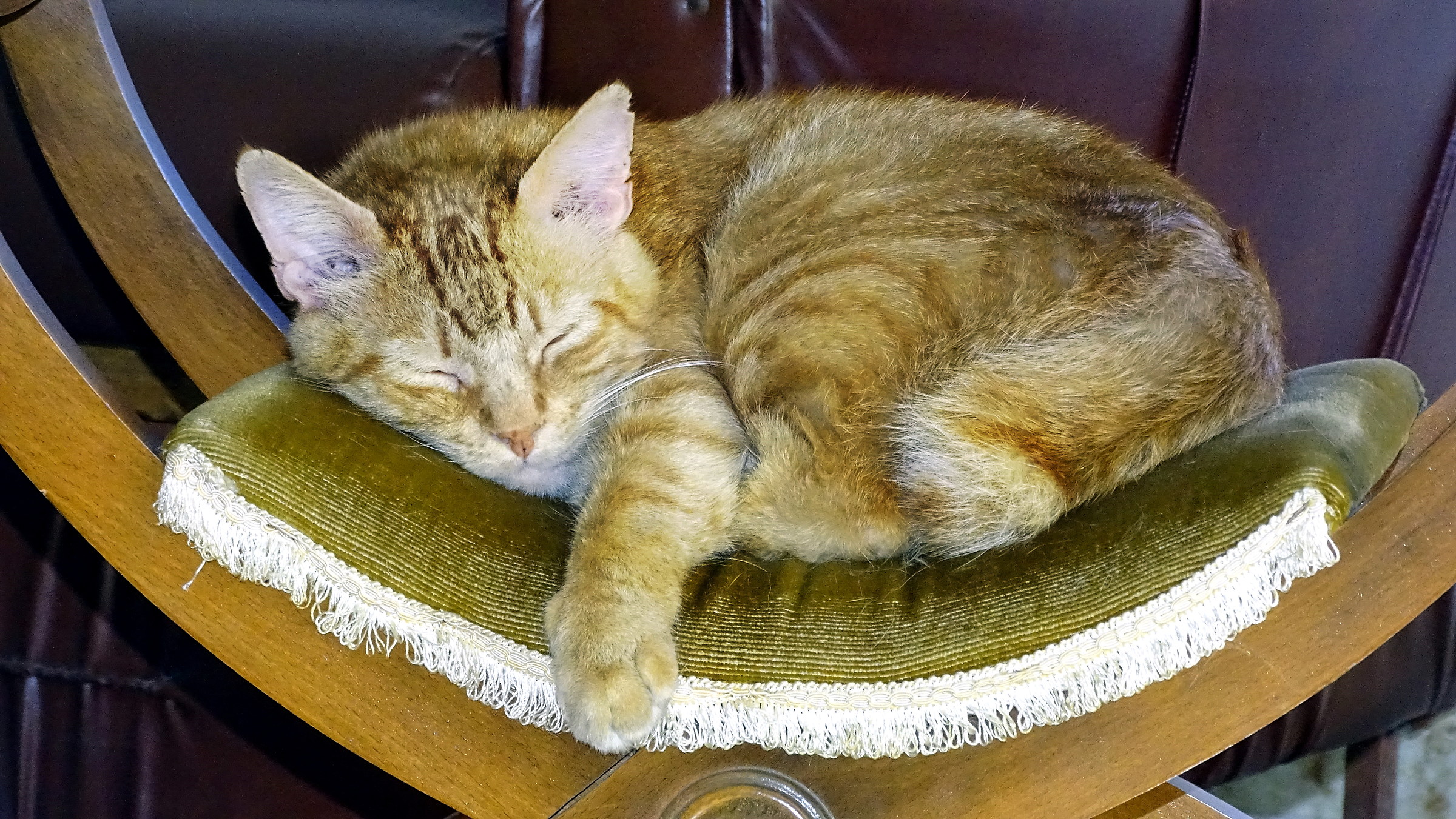 il riposo del guerriero