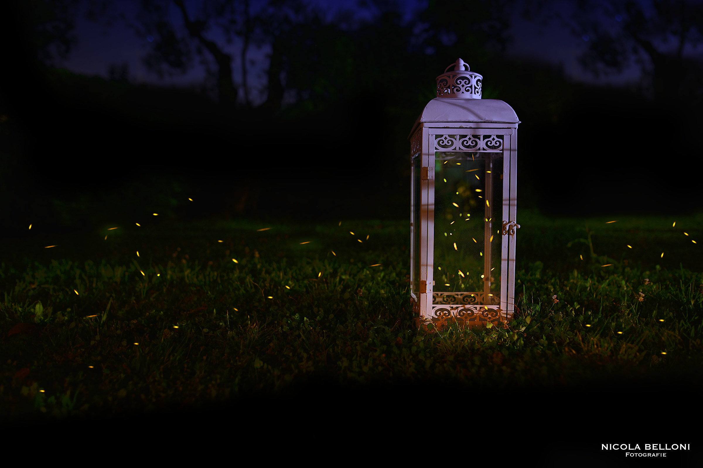 F ...... or Enel, I'm going to Fireflies