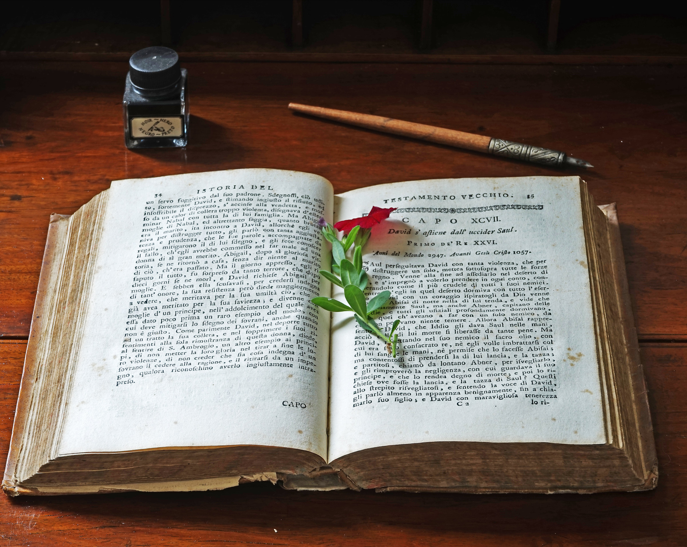 testamento vecchio - foto mento tagliata